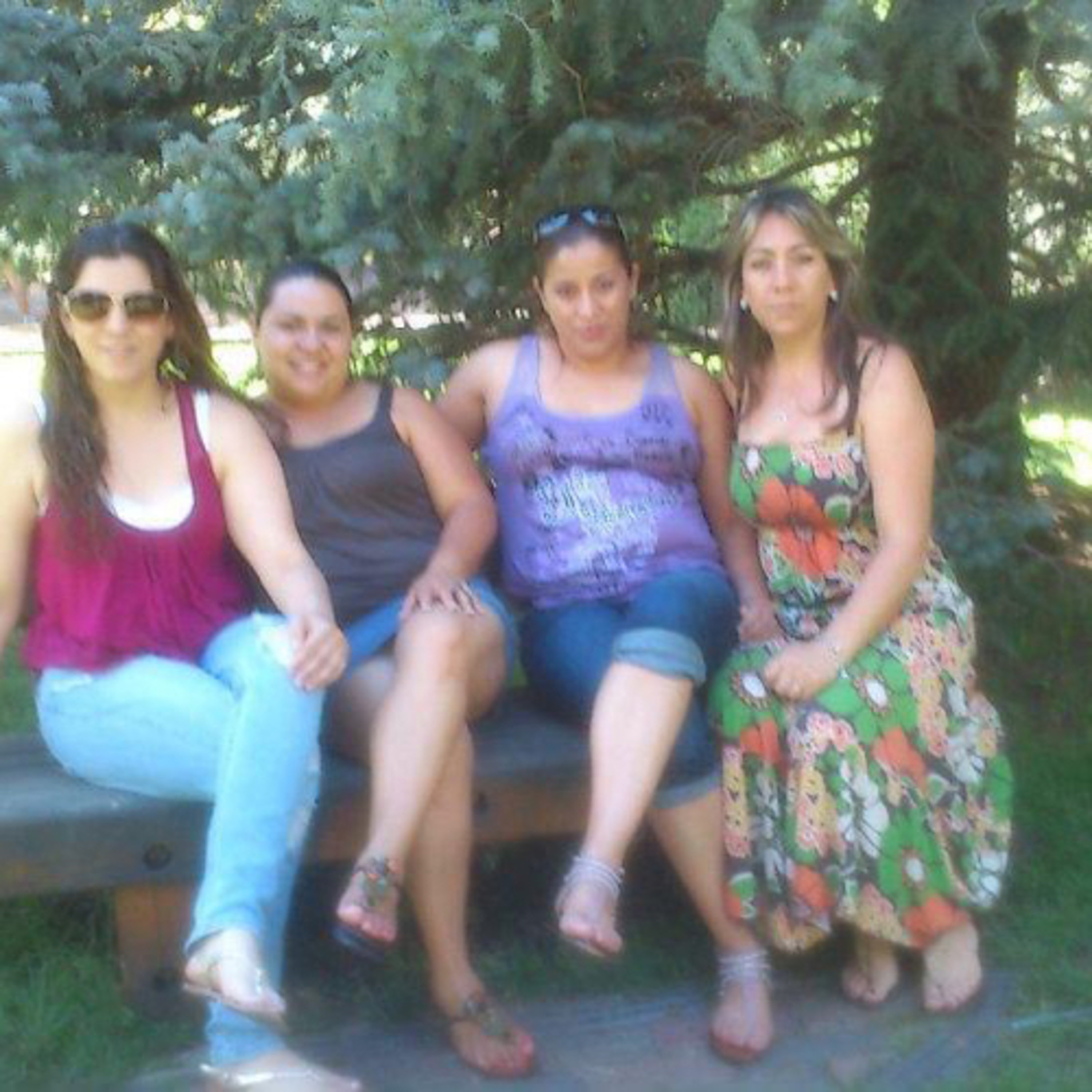 Cendradillas paraíso con olor a pino