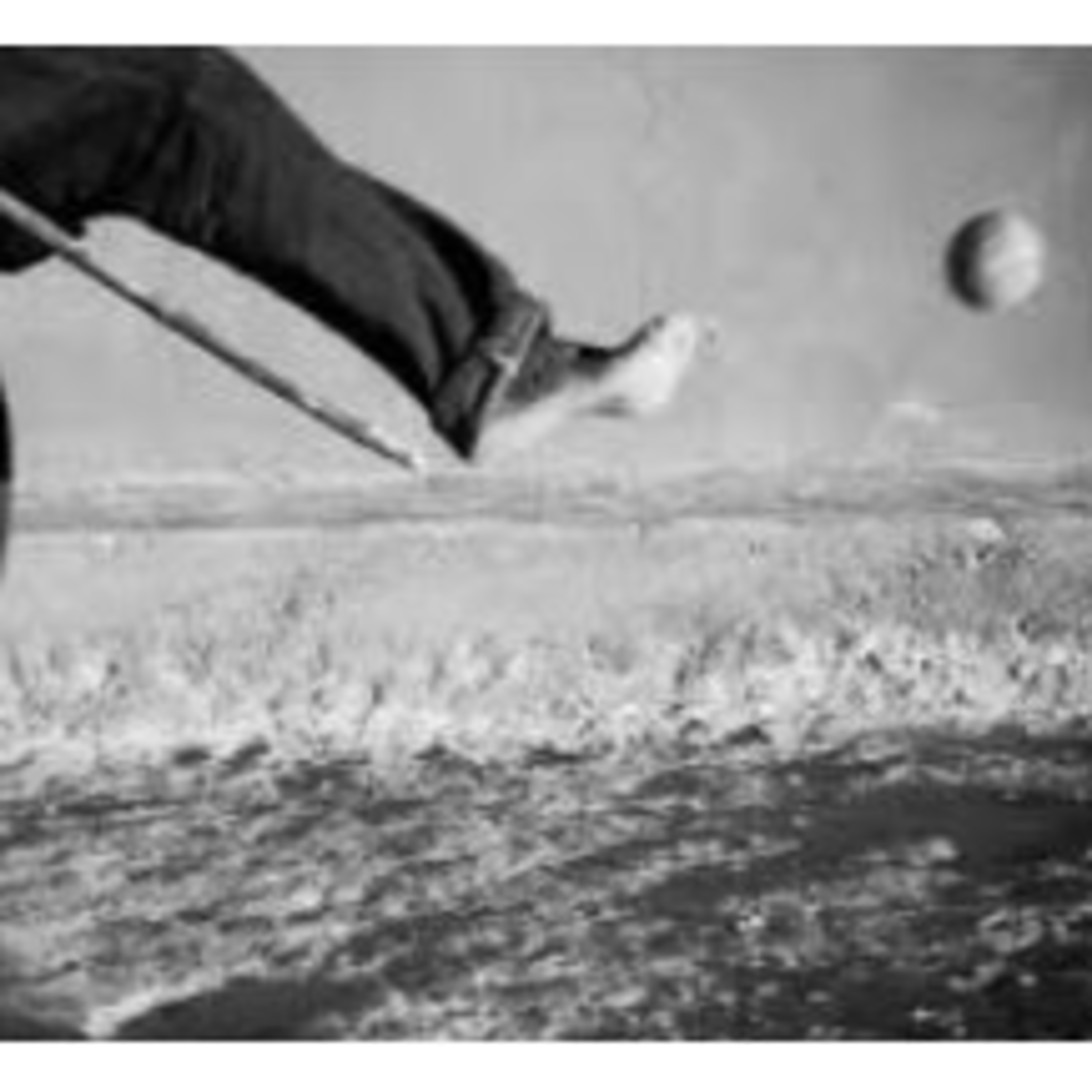 Cendradillas paraíso con olor a pino