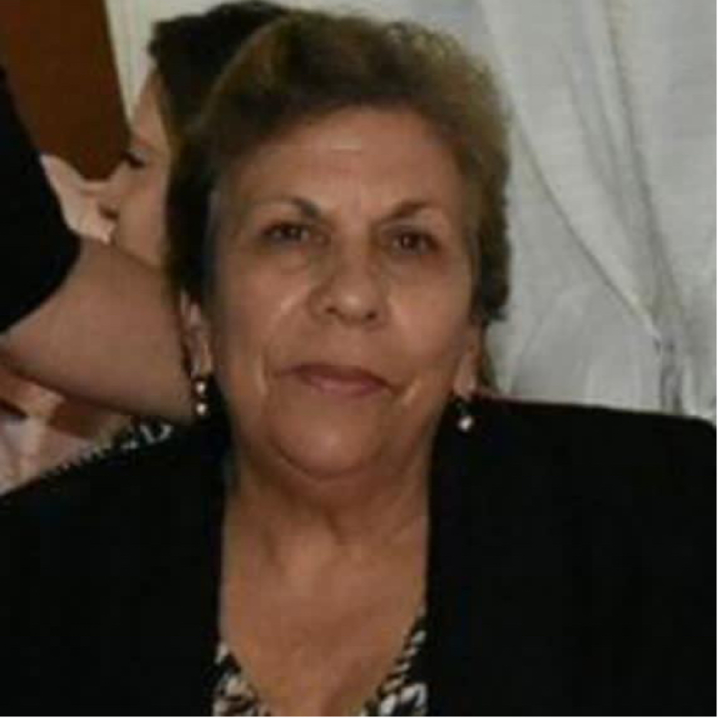 Cendradillas paraíso con olor a pino