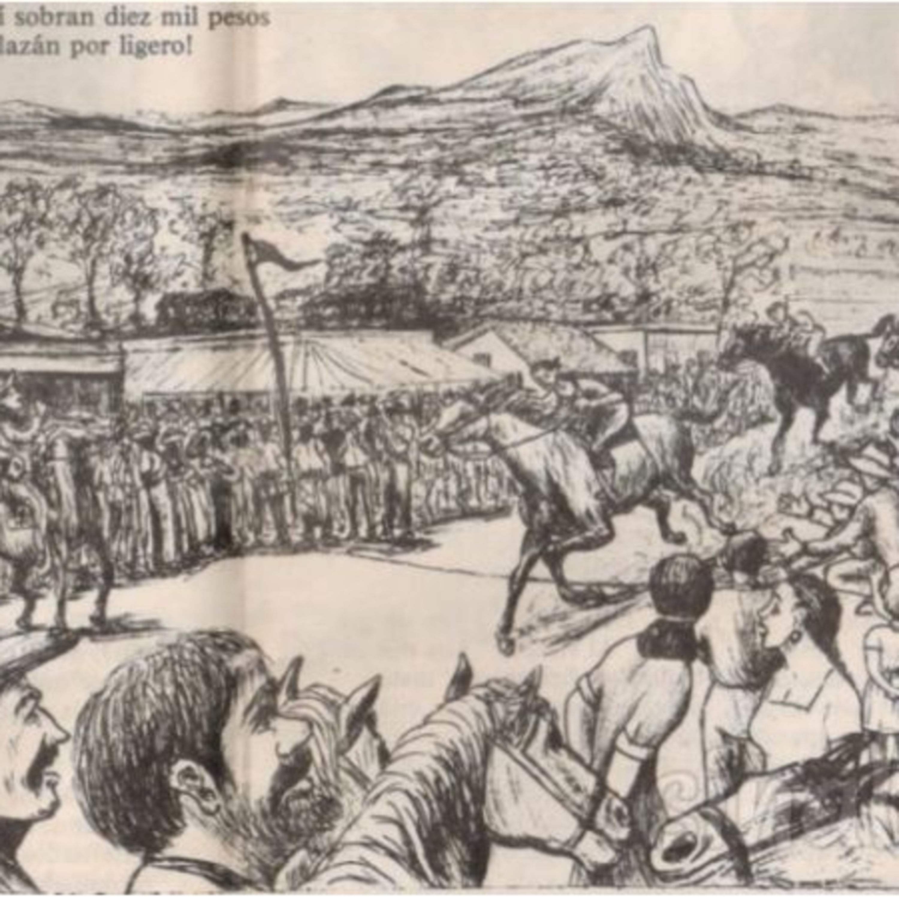 Cendradillas paraíso con olor a pino