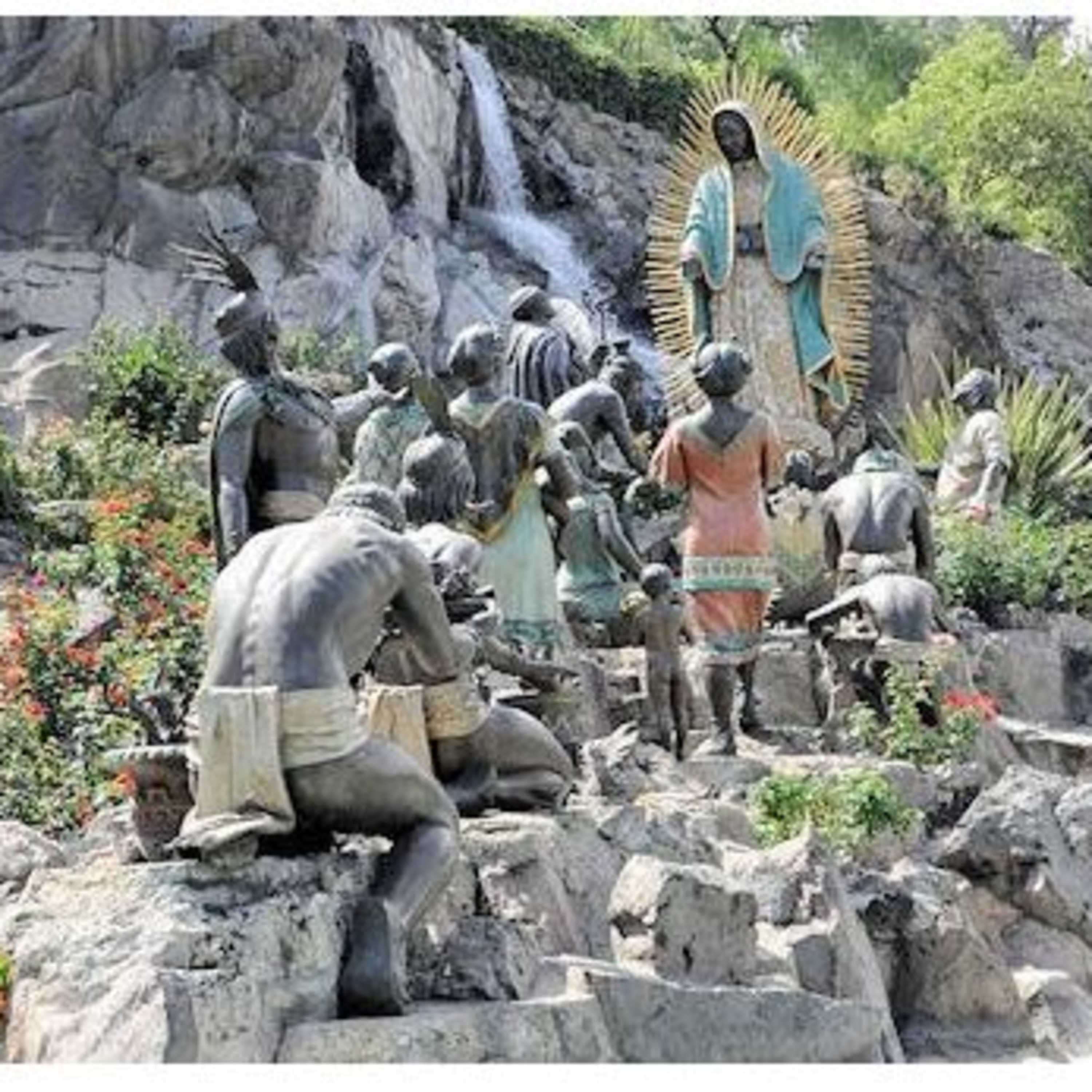 Cendradillas paraíso con olor a pino