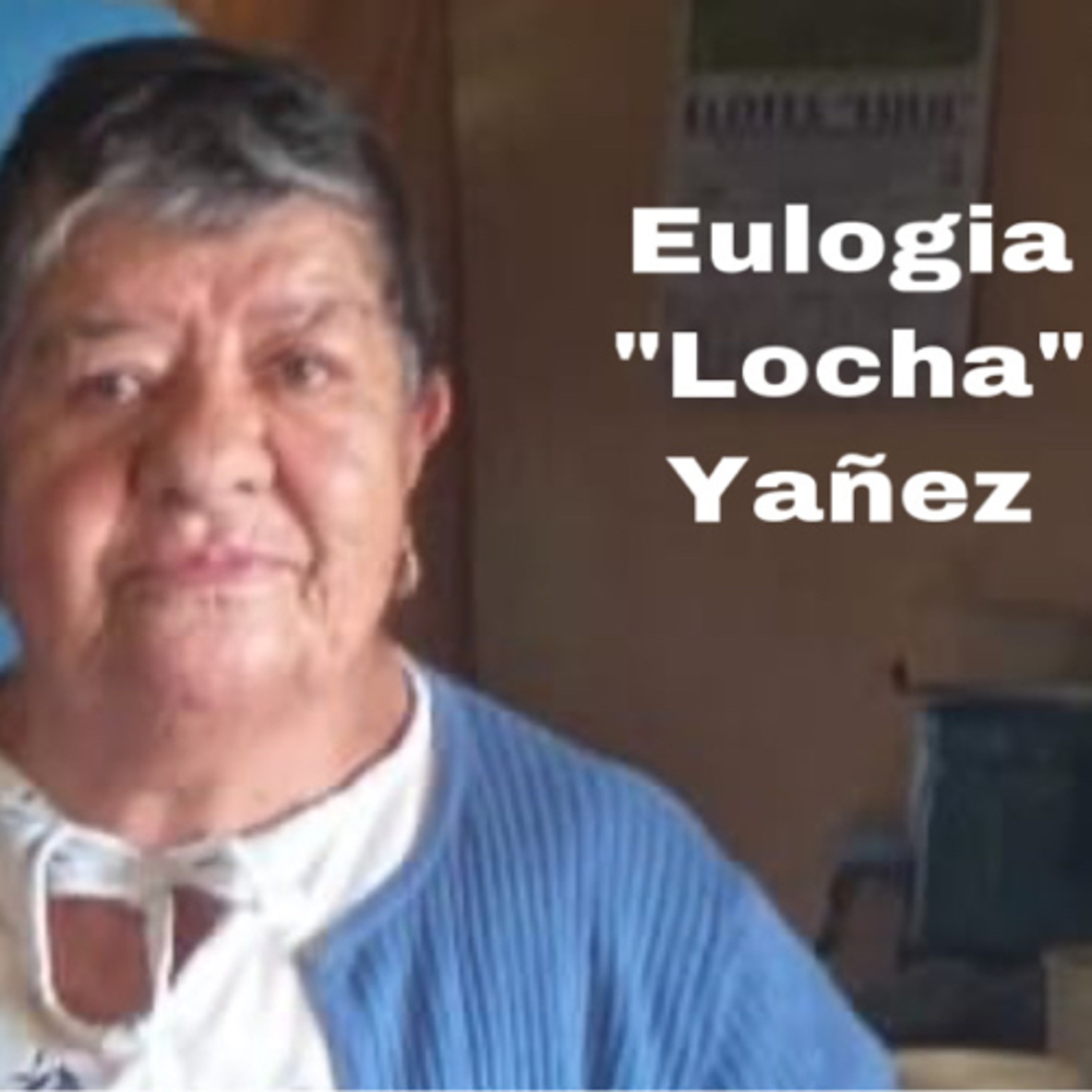 Cendradillas paraíso con olor a pino