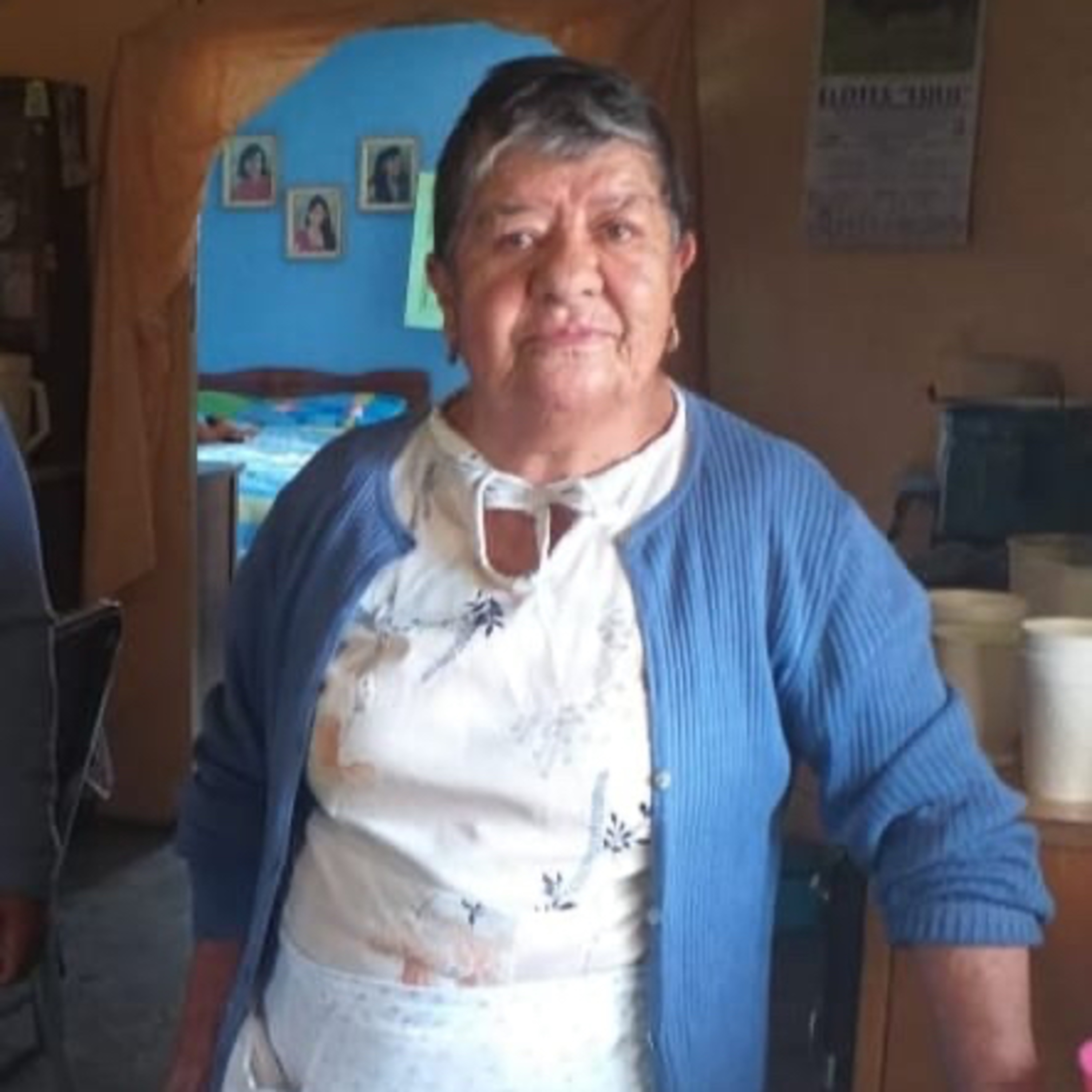 Cendradillas paraíso con olor a pino