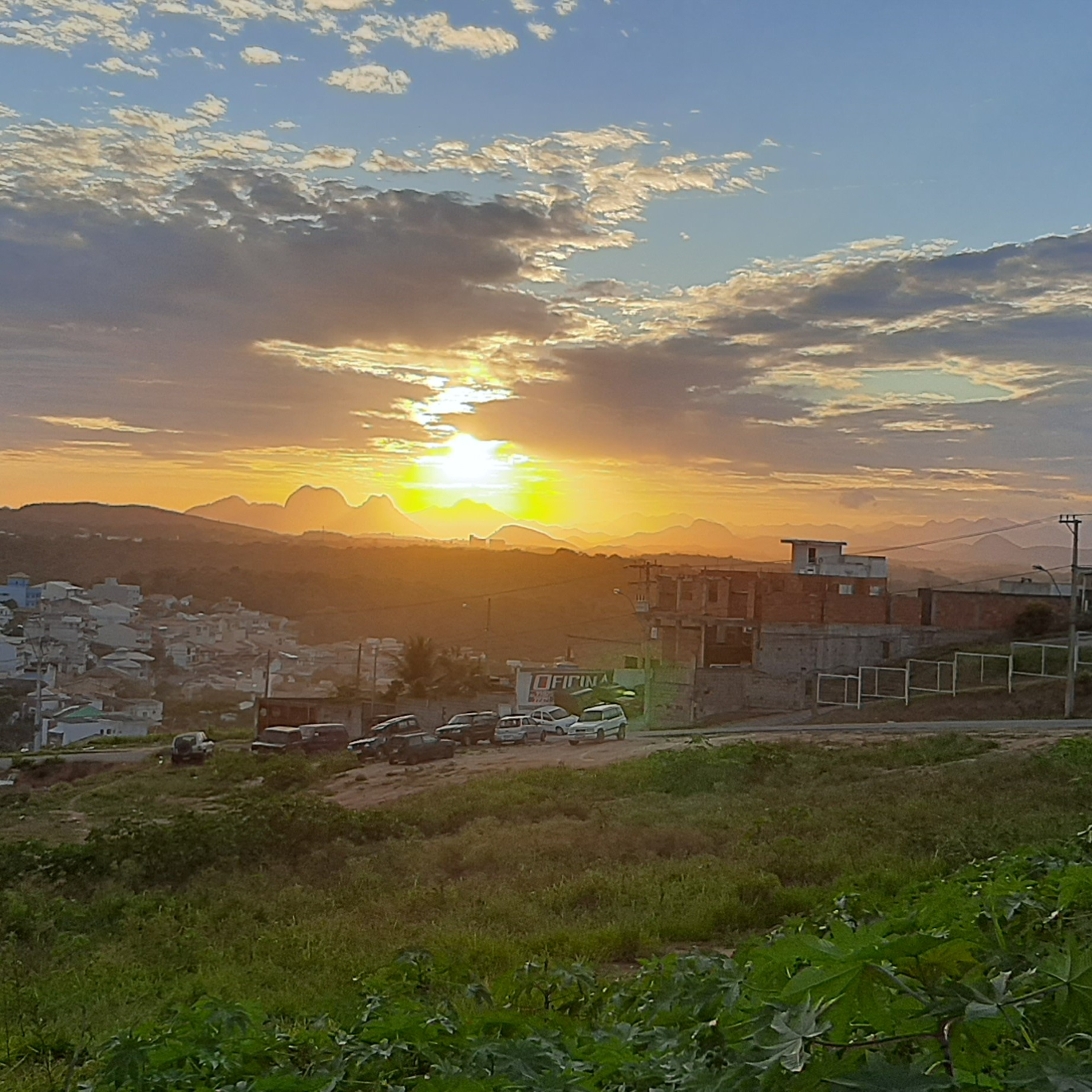 MANUAL DE SOBREVIVÊNCIA