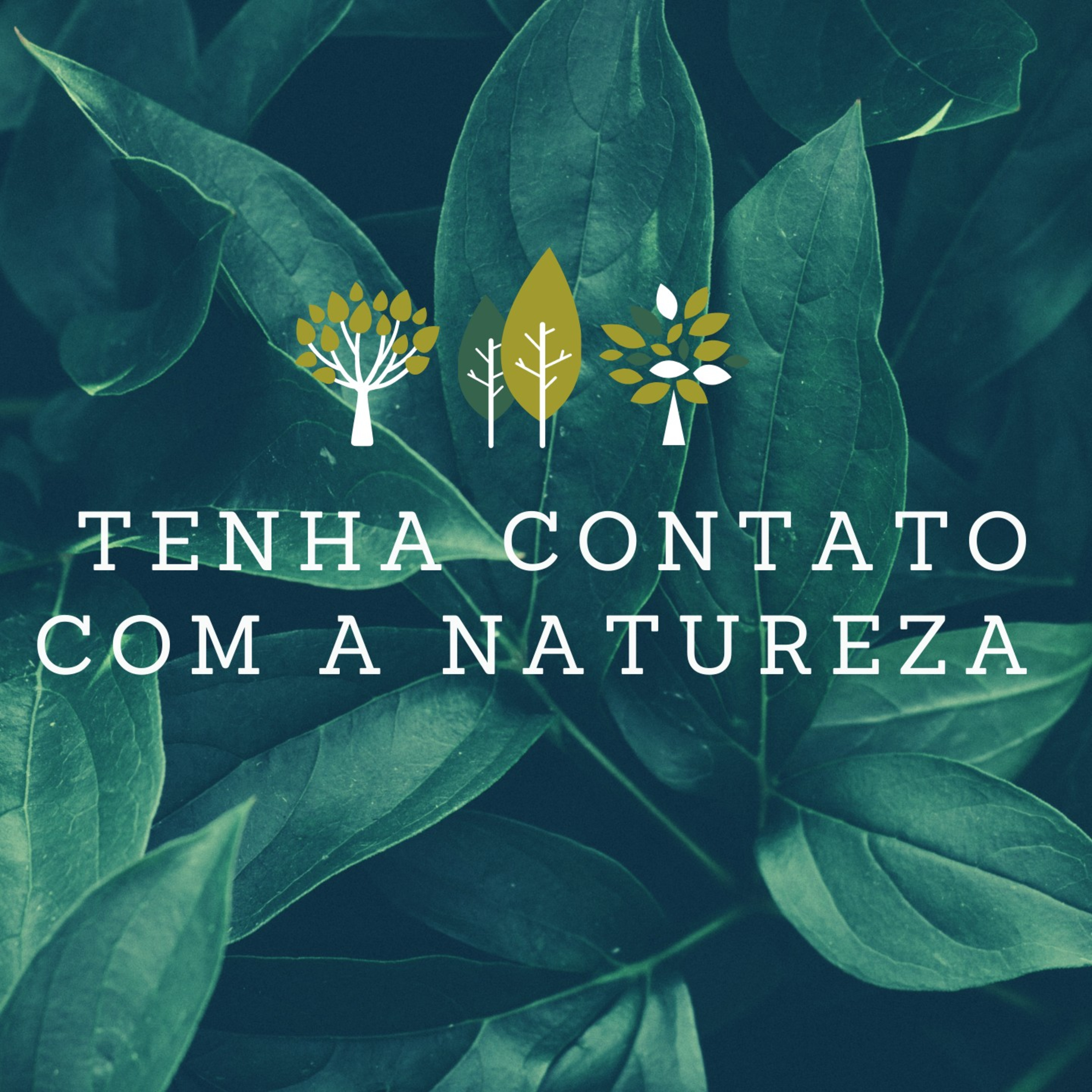 MANUAL DE SOBREVIVÊNCIA