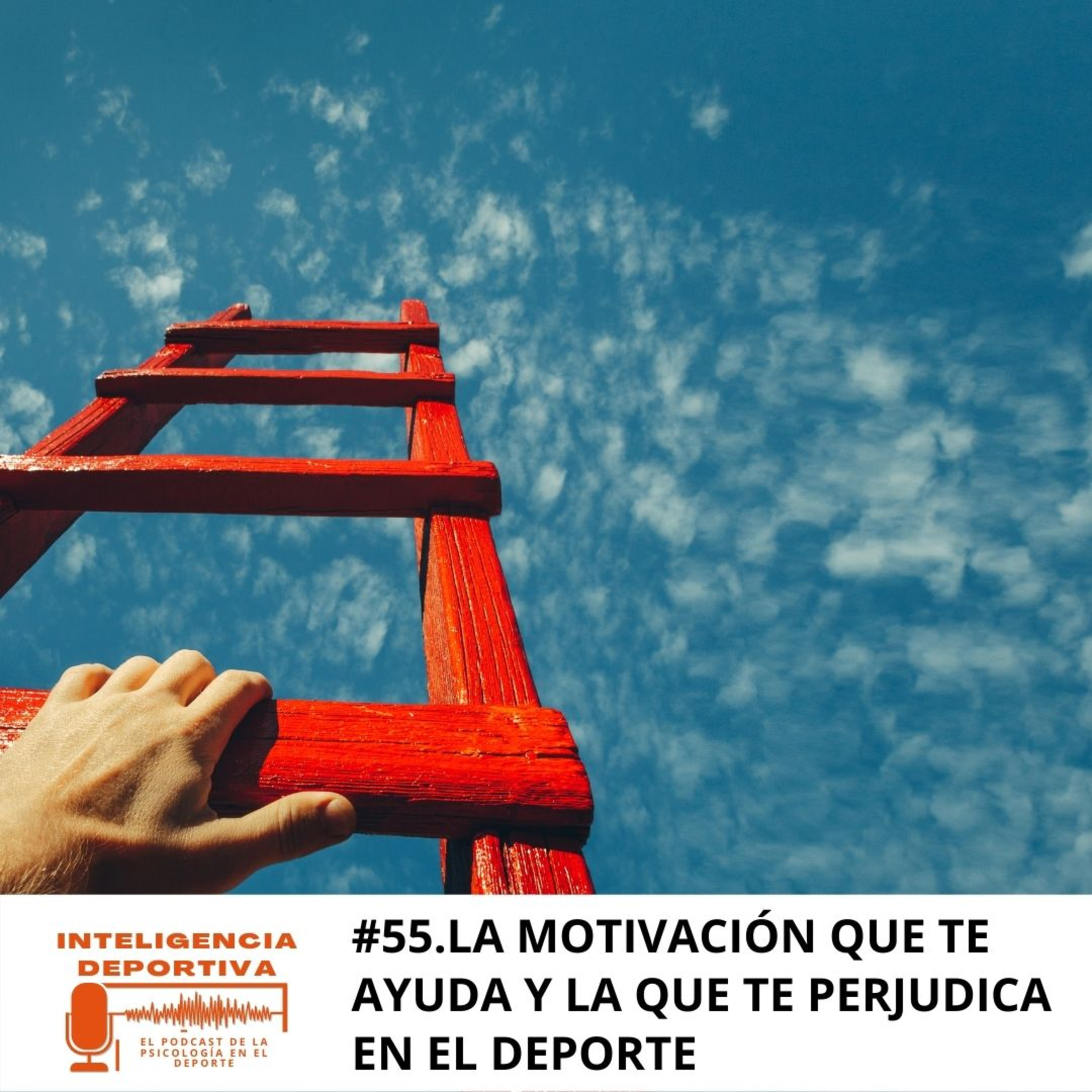 Inteligencia Deportiva