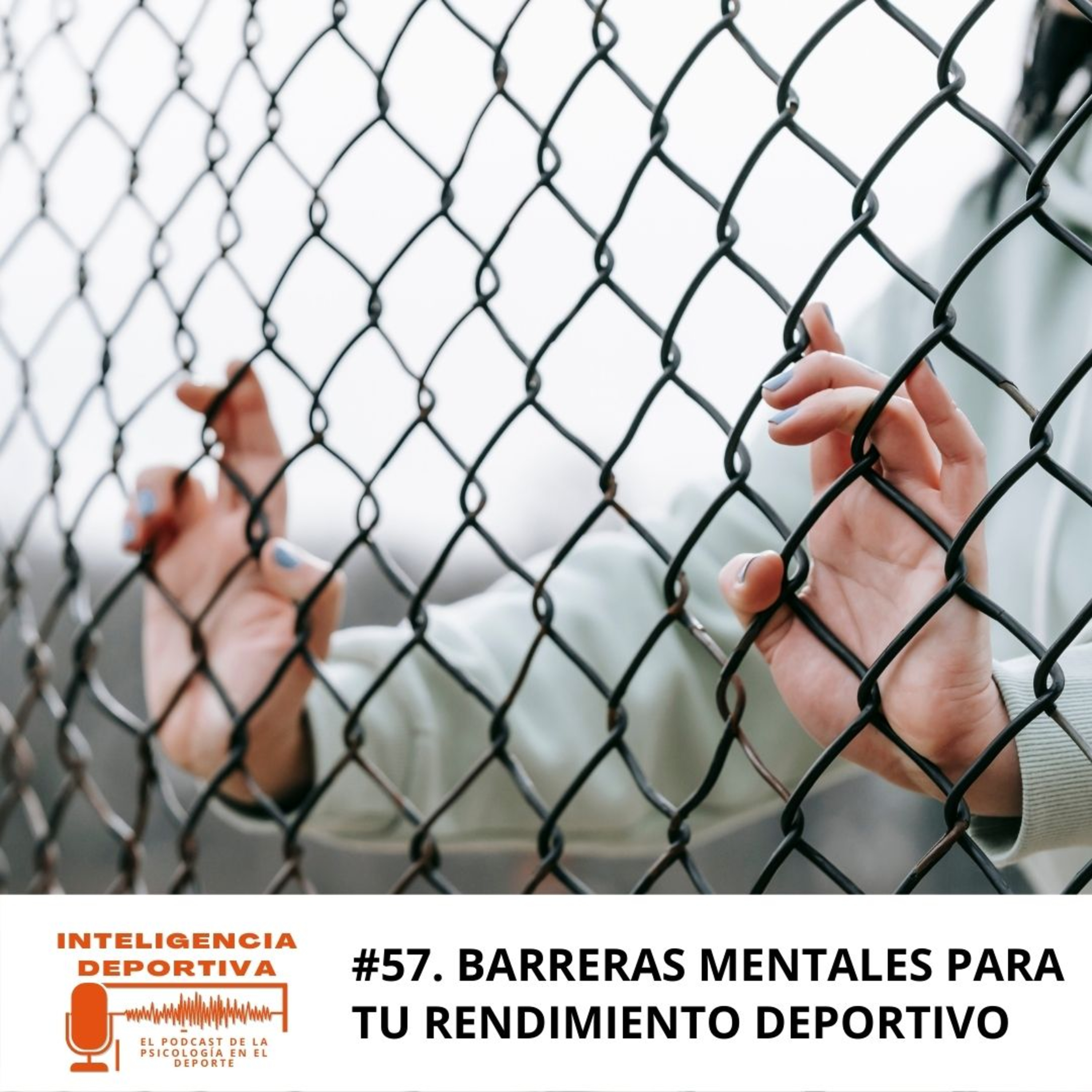 Inteligencia Deportiva