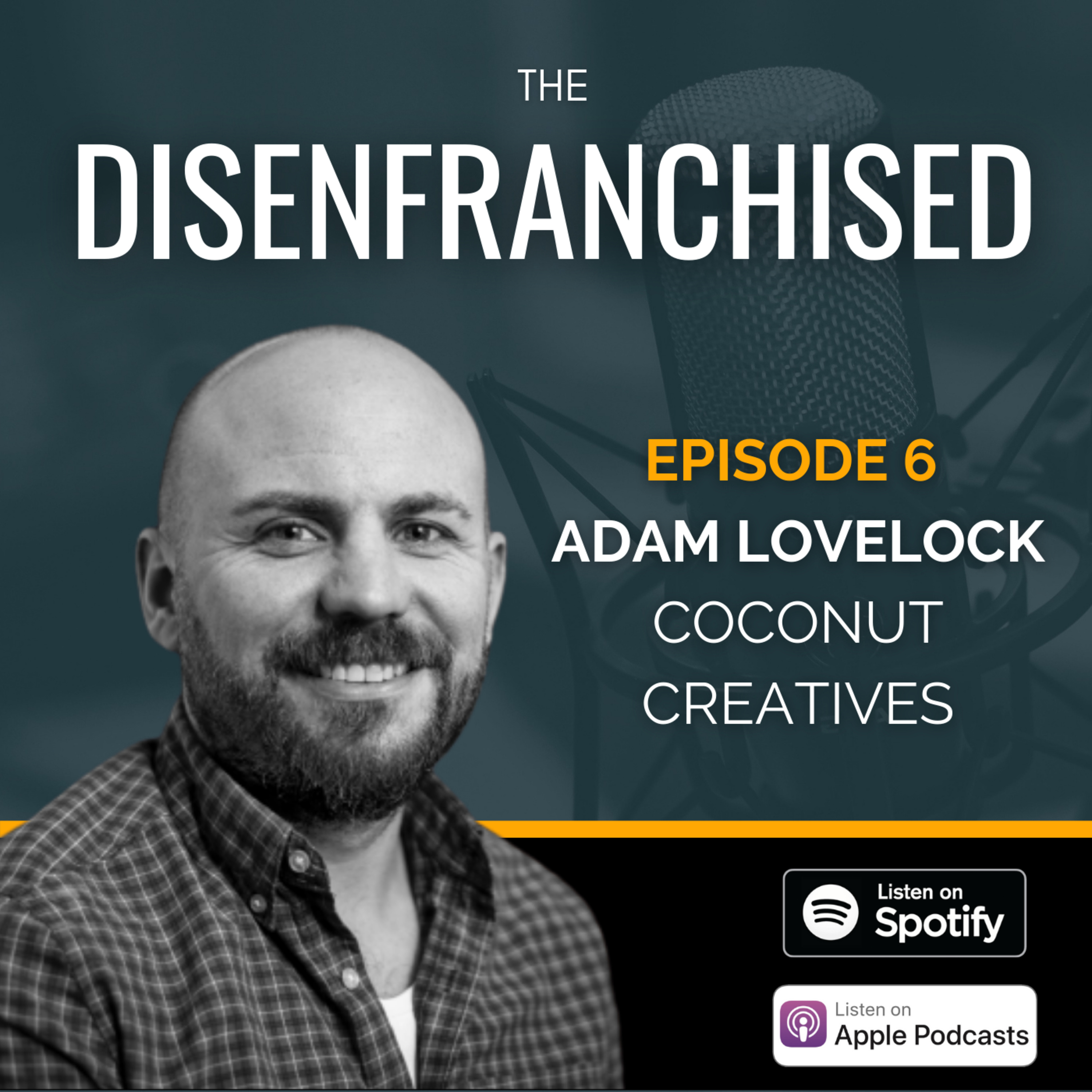The Disenfranchised