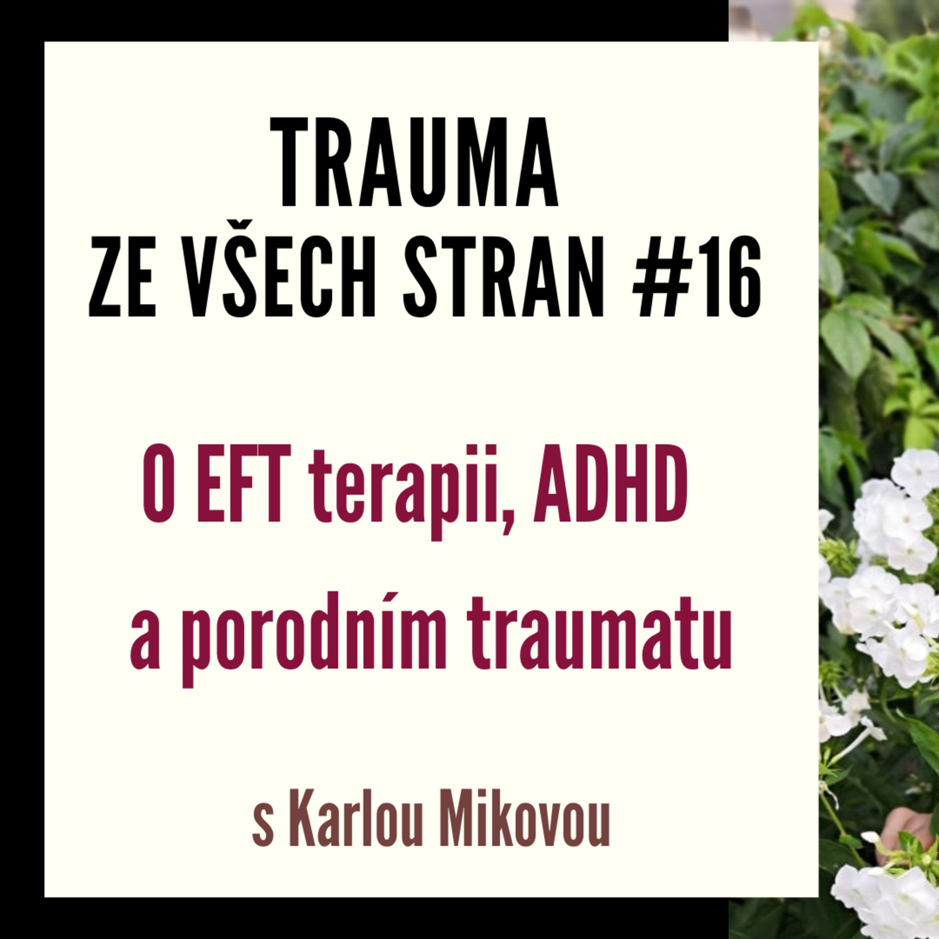 Trauma ze všech stran #16 - O EFT terapii, ADHD a porodním traumatu s Karlou Mikovou episode artwork