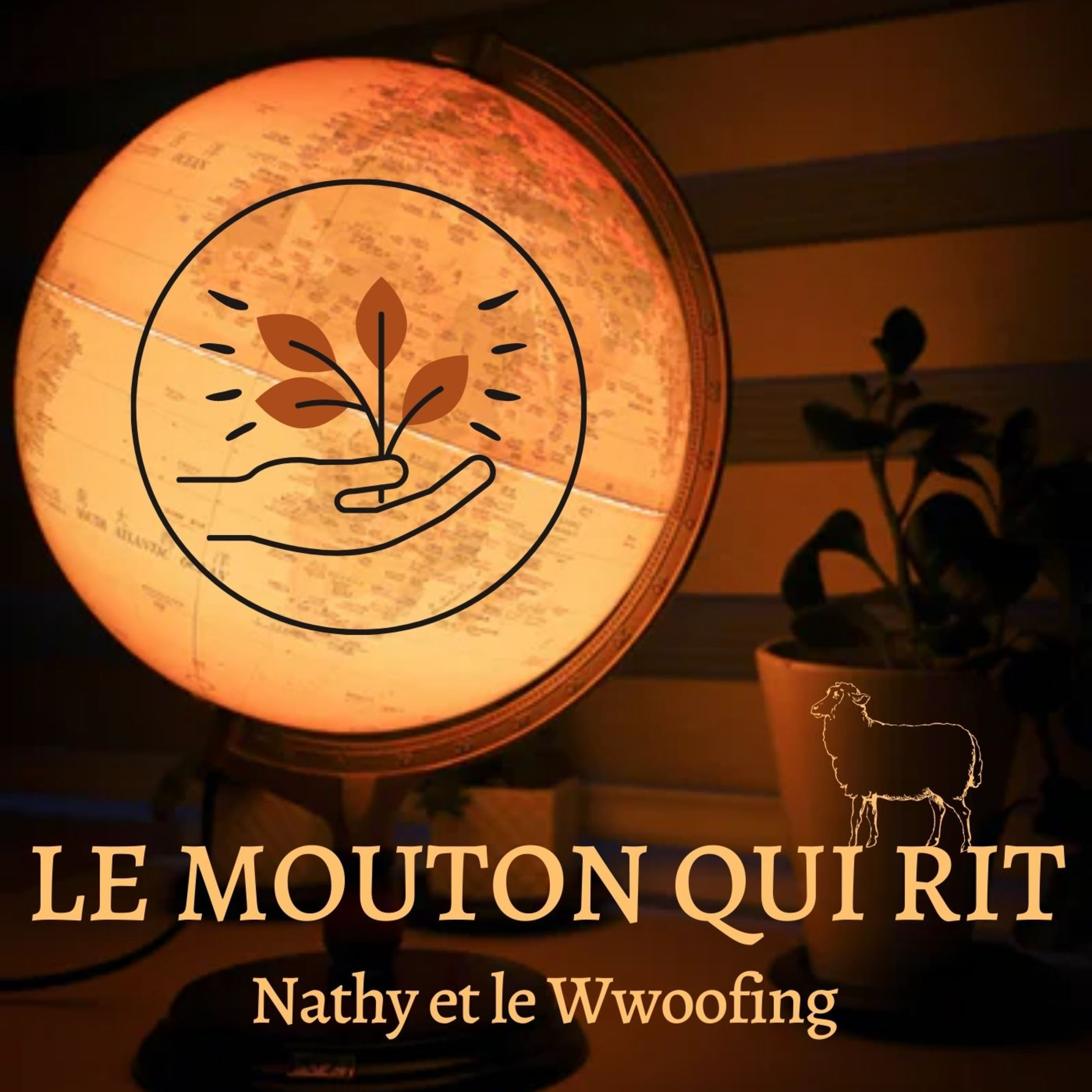 Les Ailleuronautes : voyage, volontariat, amitiés