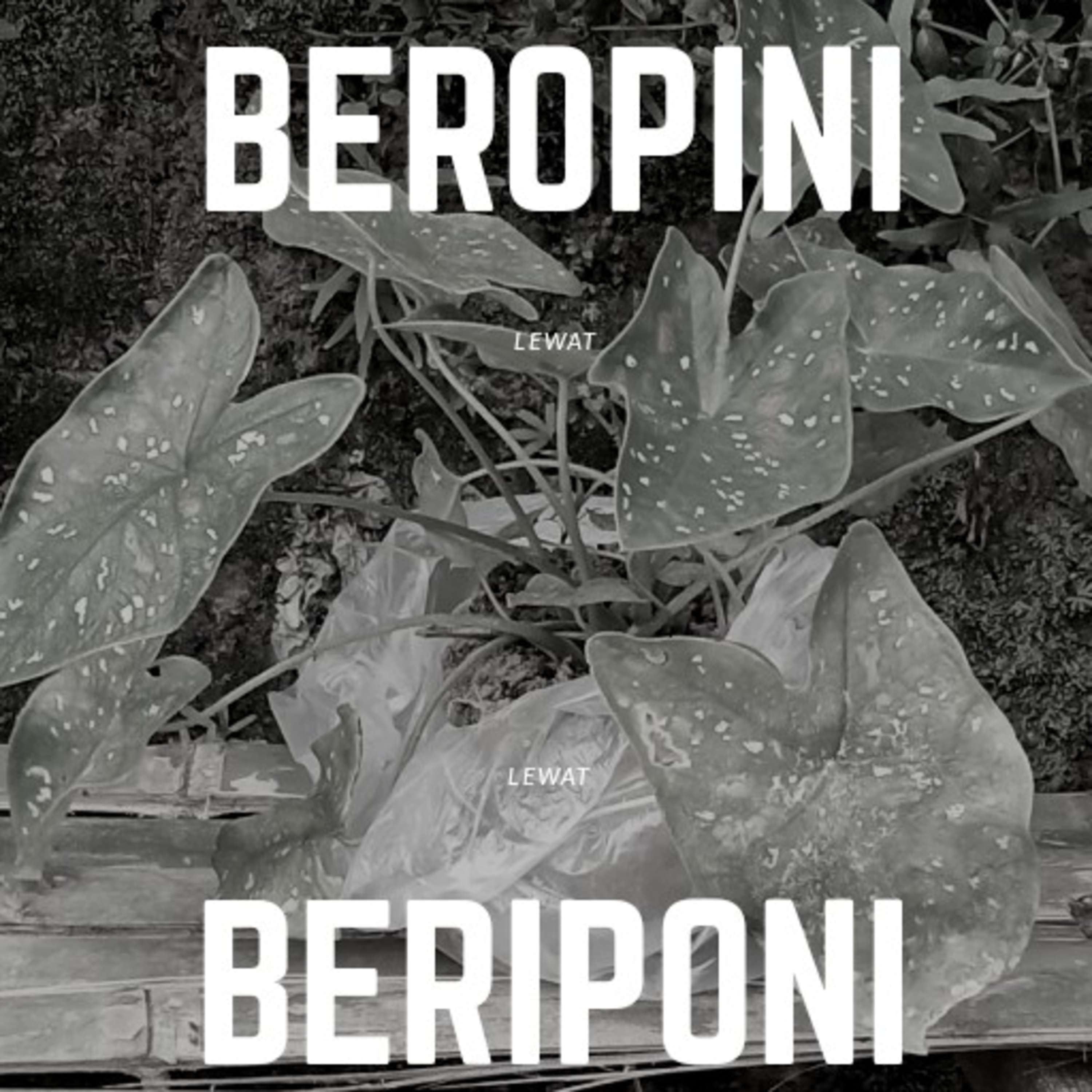 beriponi