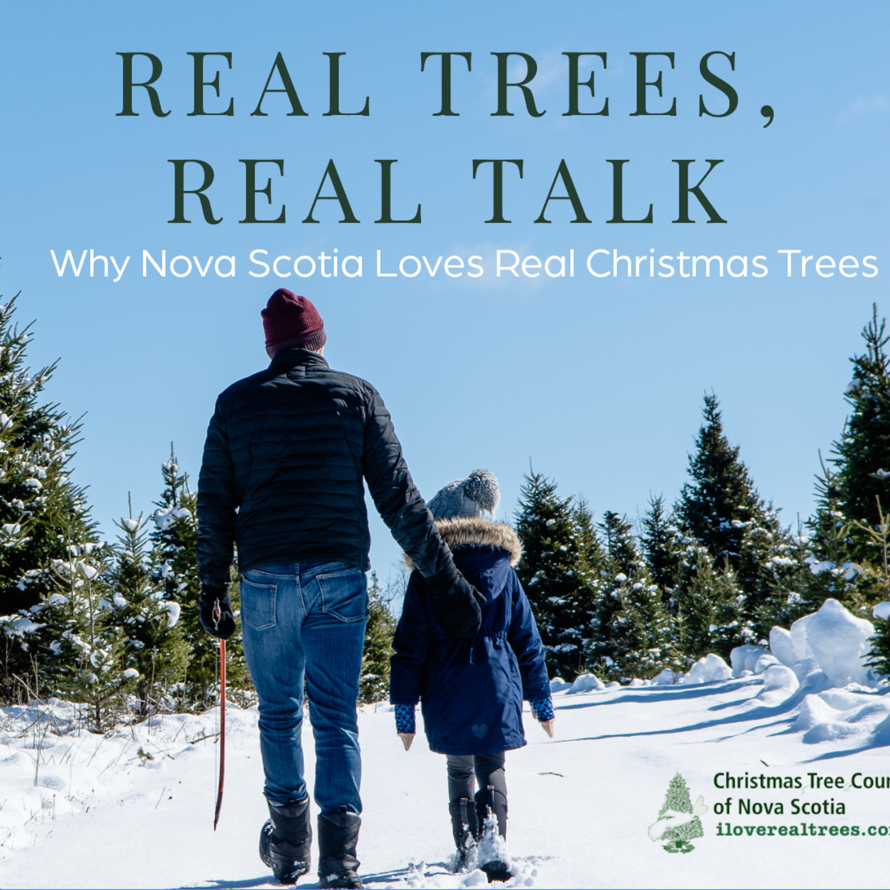 Real Trees, Real Talk - Why Nova Scotia Loves Real Christmas Trees