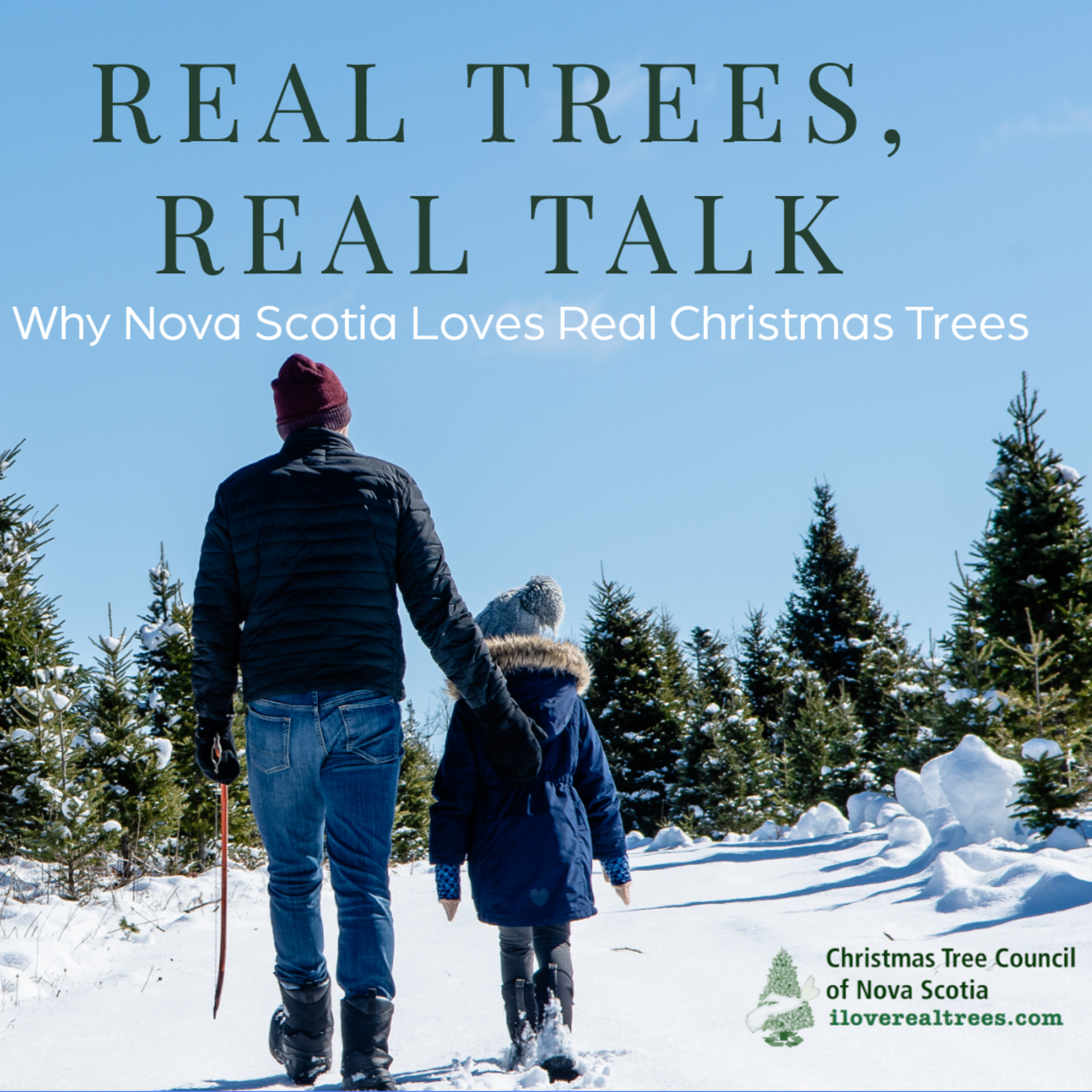Real Trees, Real Talk - Why Nova Scotia Loves Real Christmas Trees