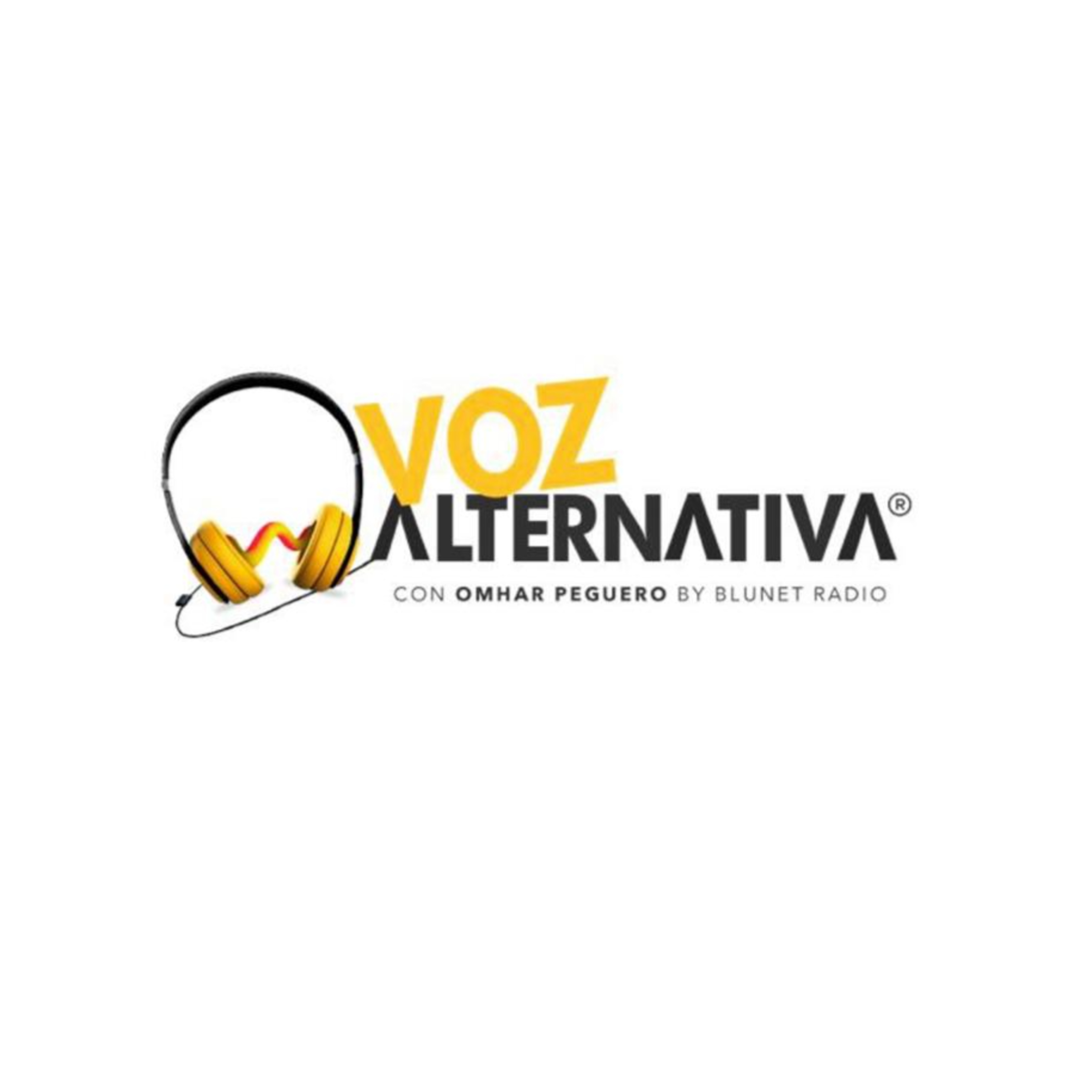 BluNet Radio