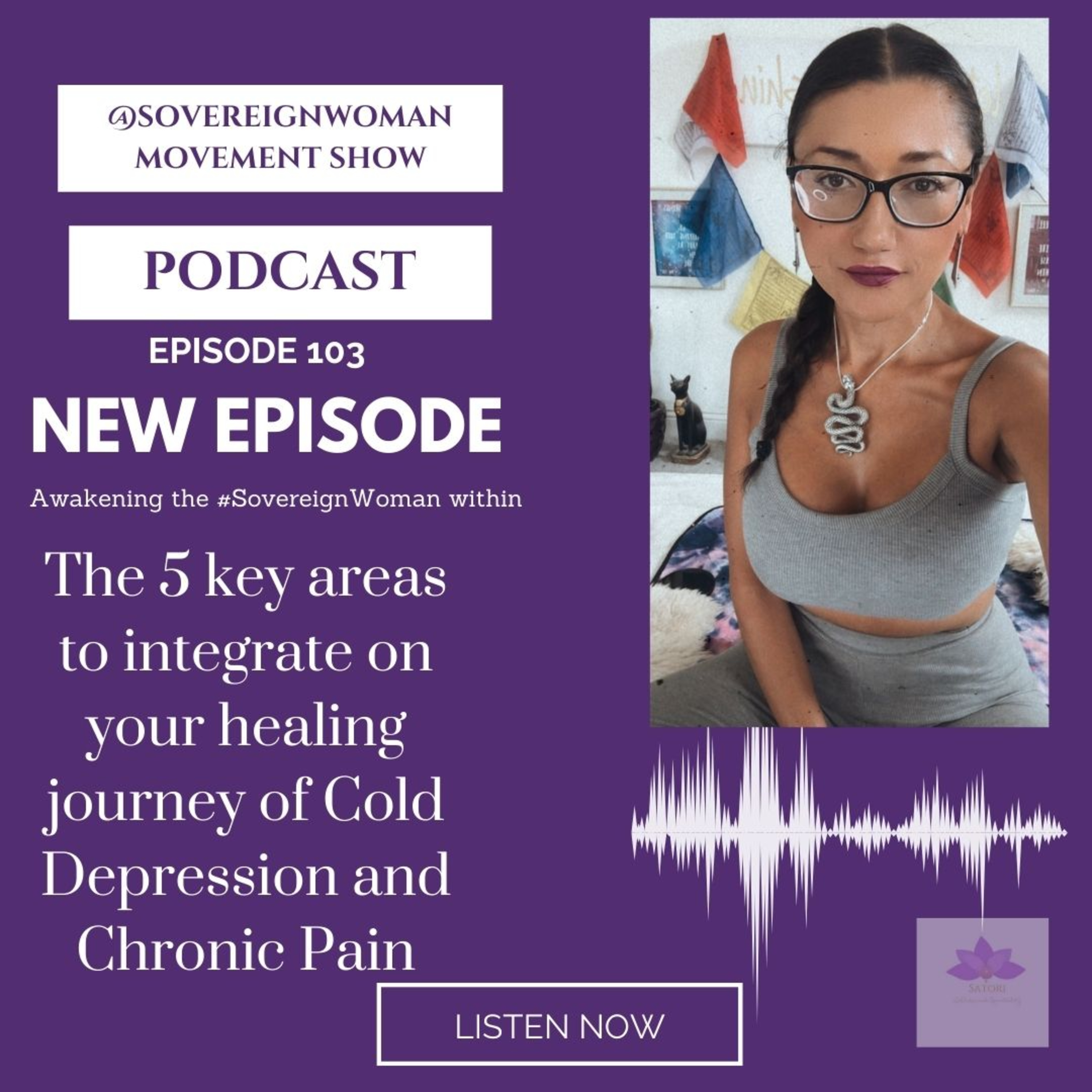 The Five Key Areas We Must Address To Overcome Cold Depression & Chronic Pain EP 103 episode artwork