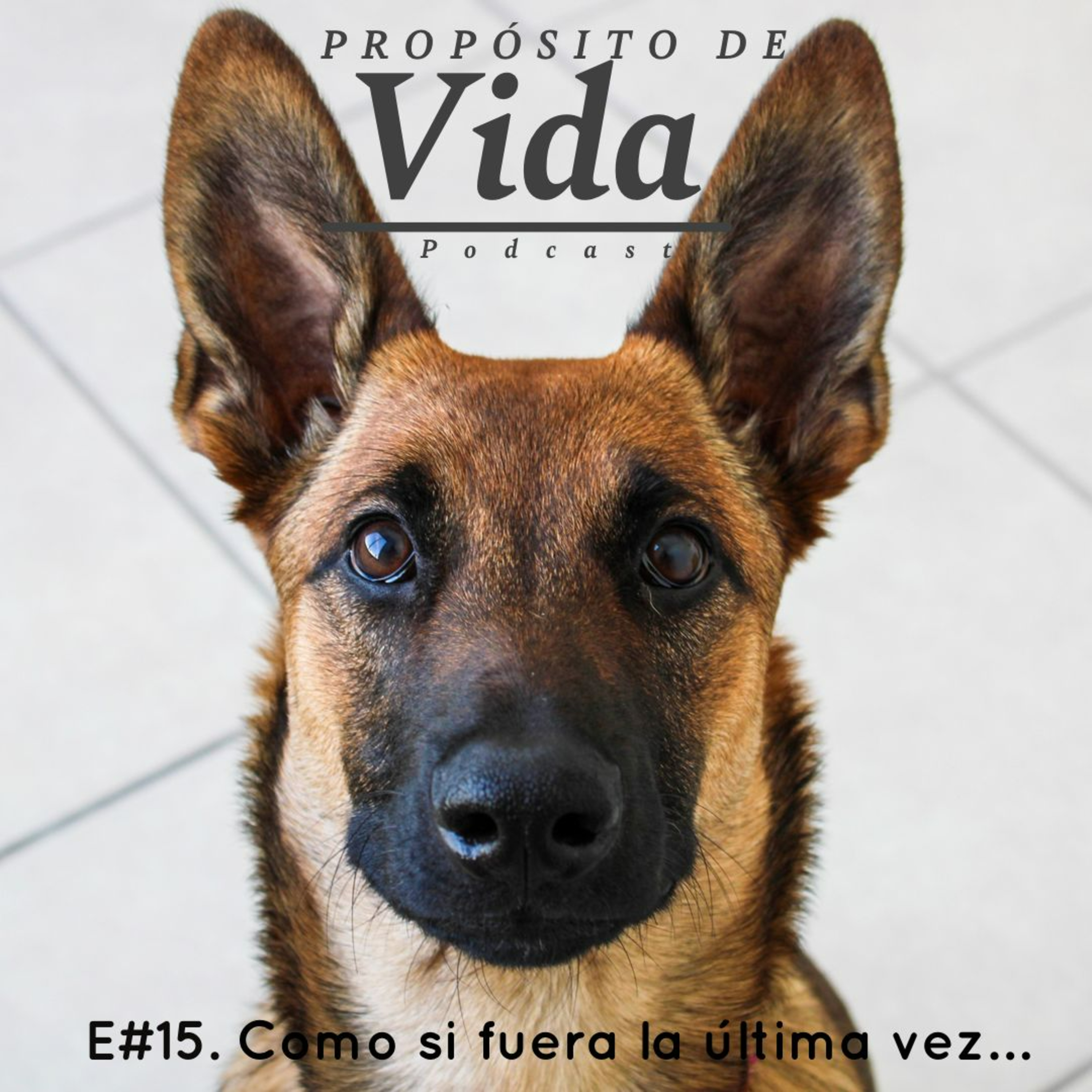Propósito de Vida