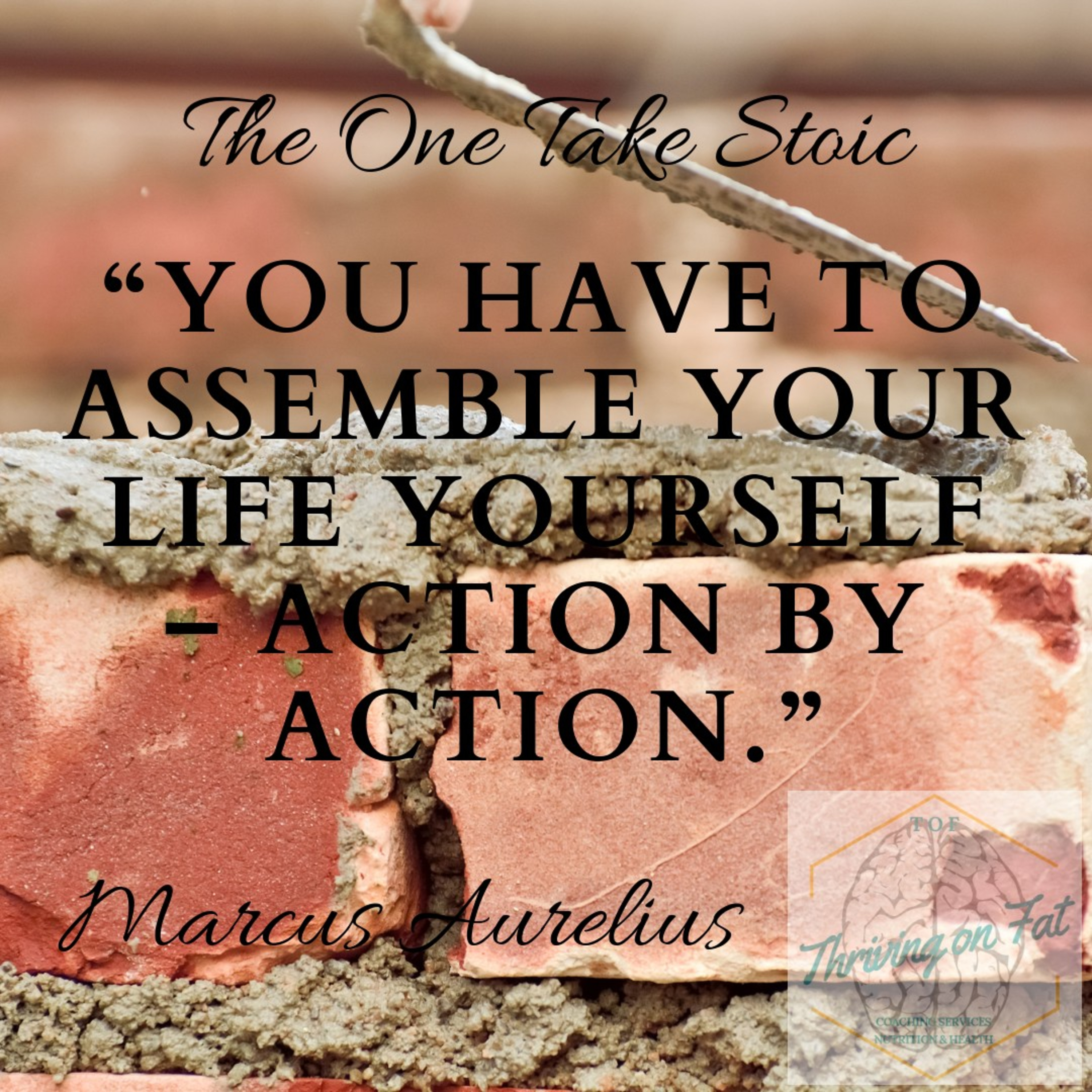 167: Assembling your life  episode artwork