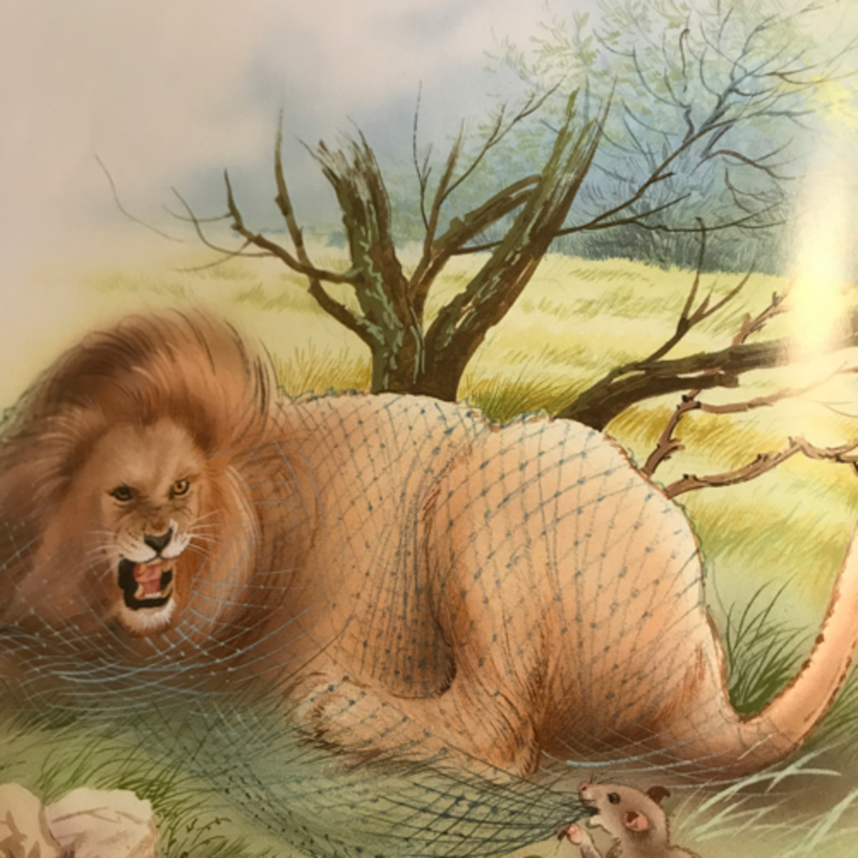 Fable “le lion et le rat”