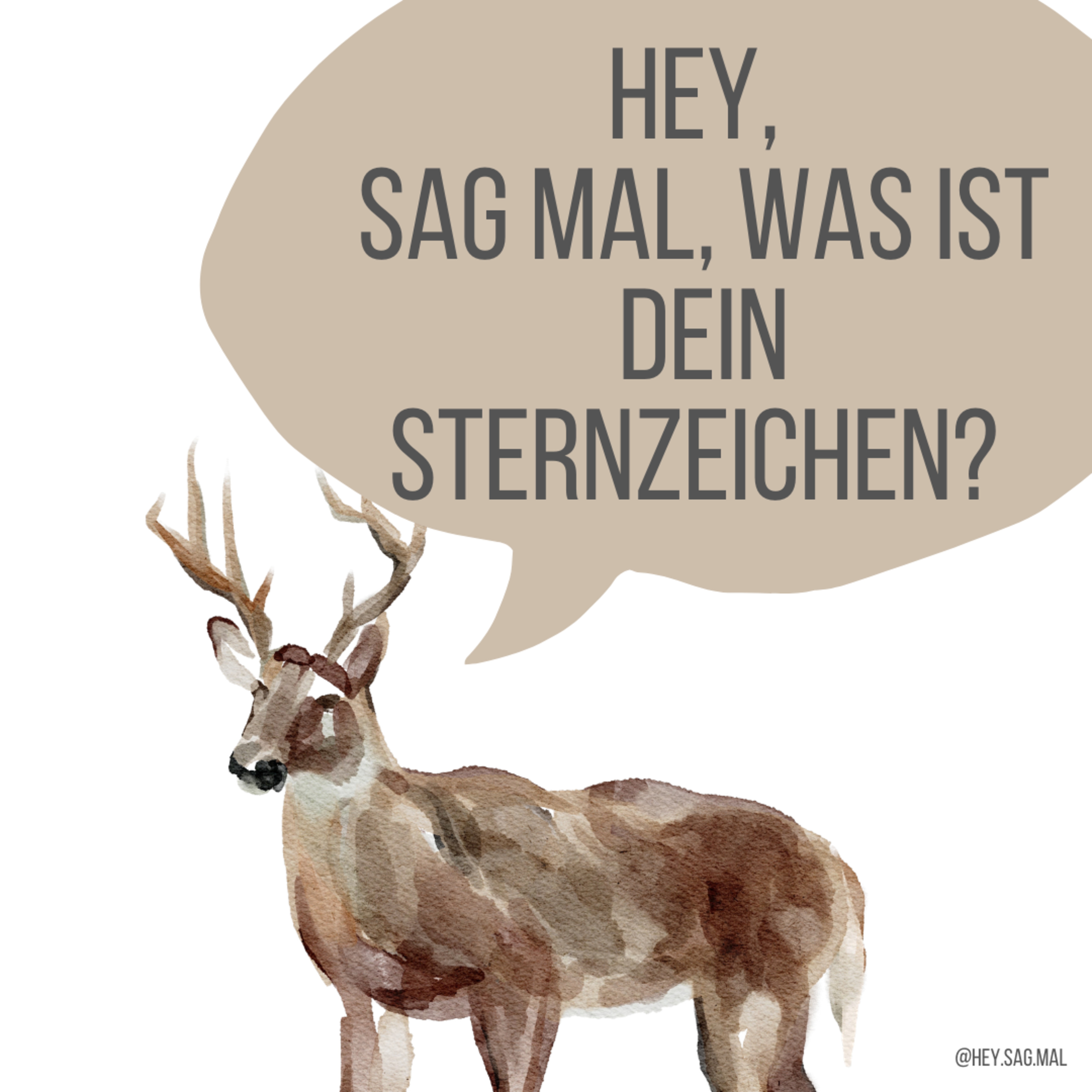 Hey, sag mal...