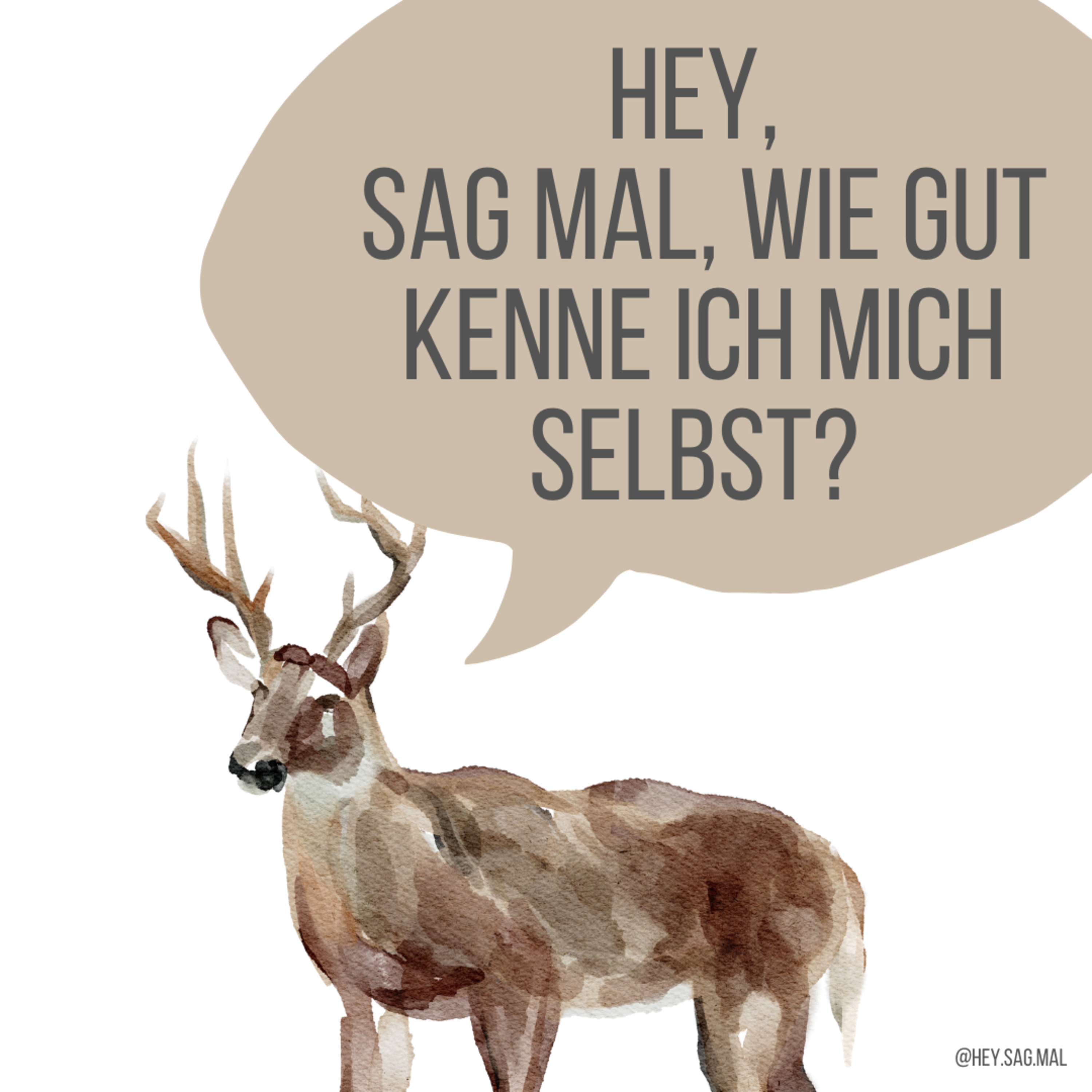 Hey, sag mal...