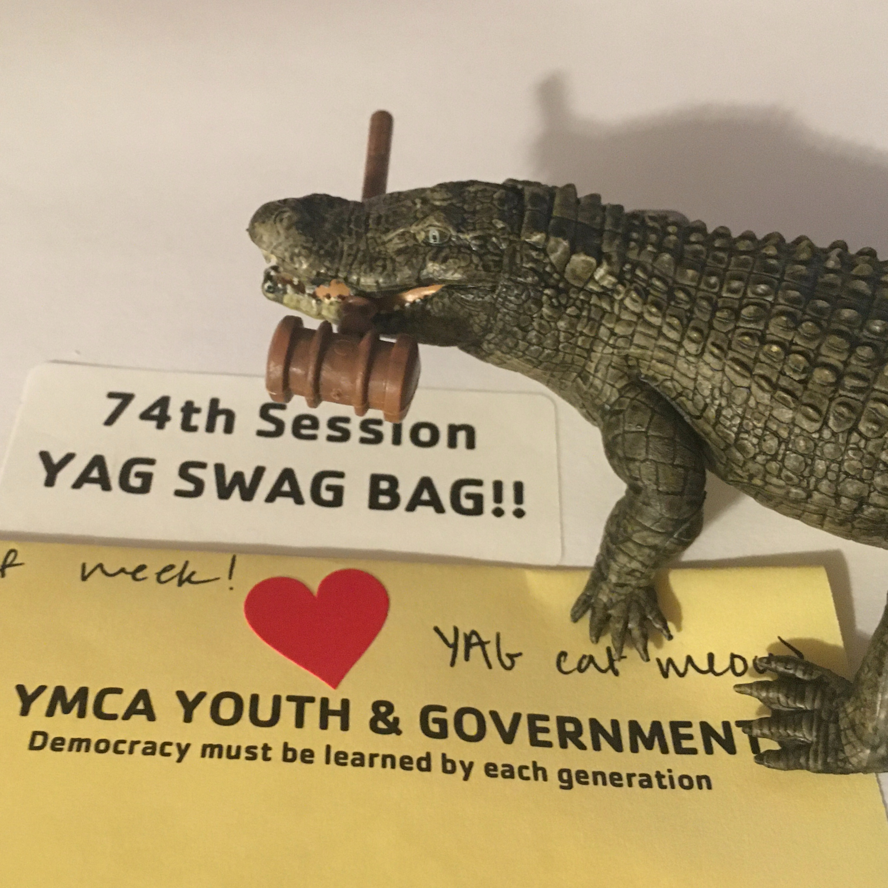 YAG and Recreation
