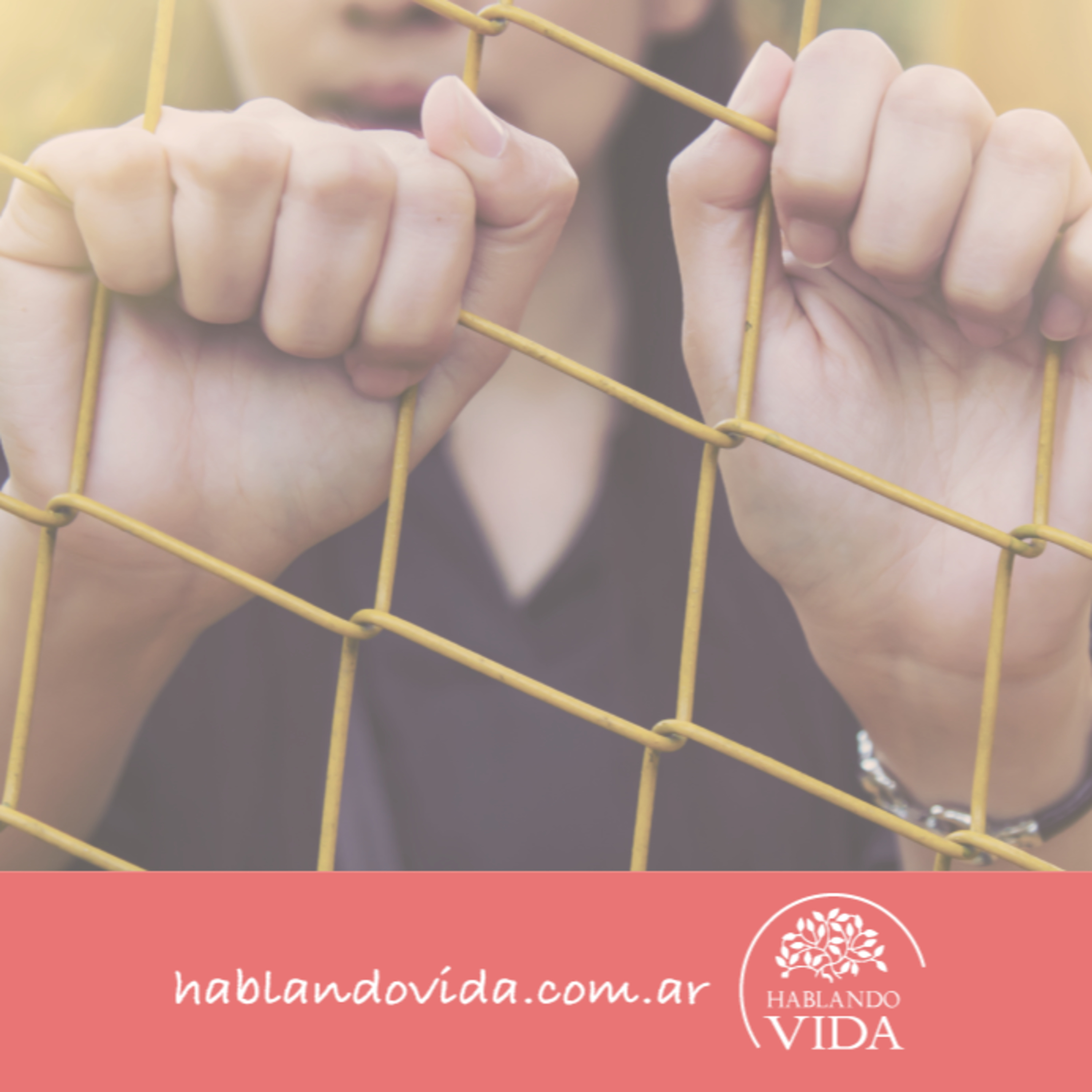 Hablando Vida