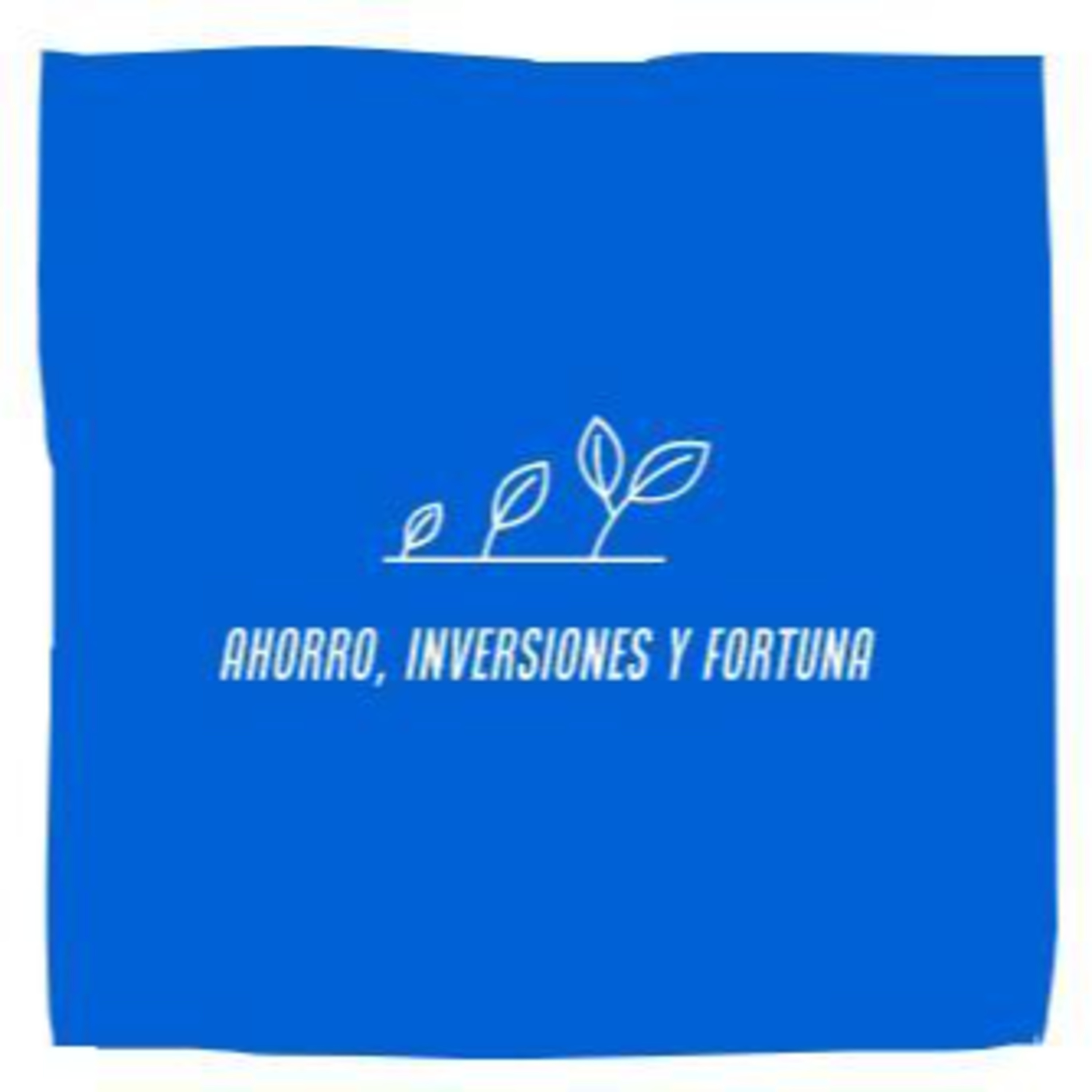 Ahorro, Inversiones y Fortuna