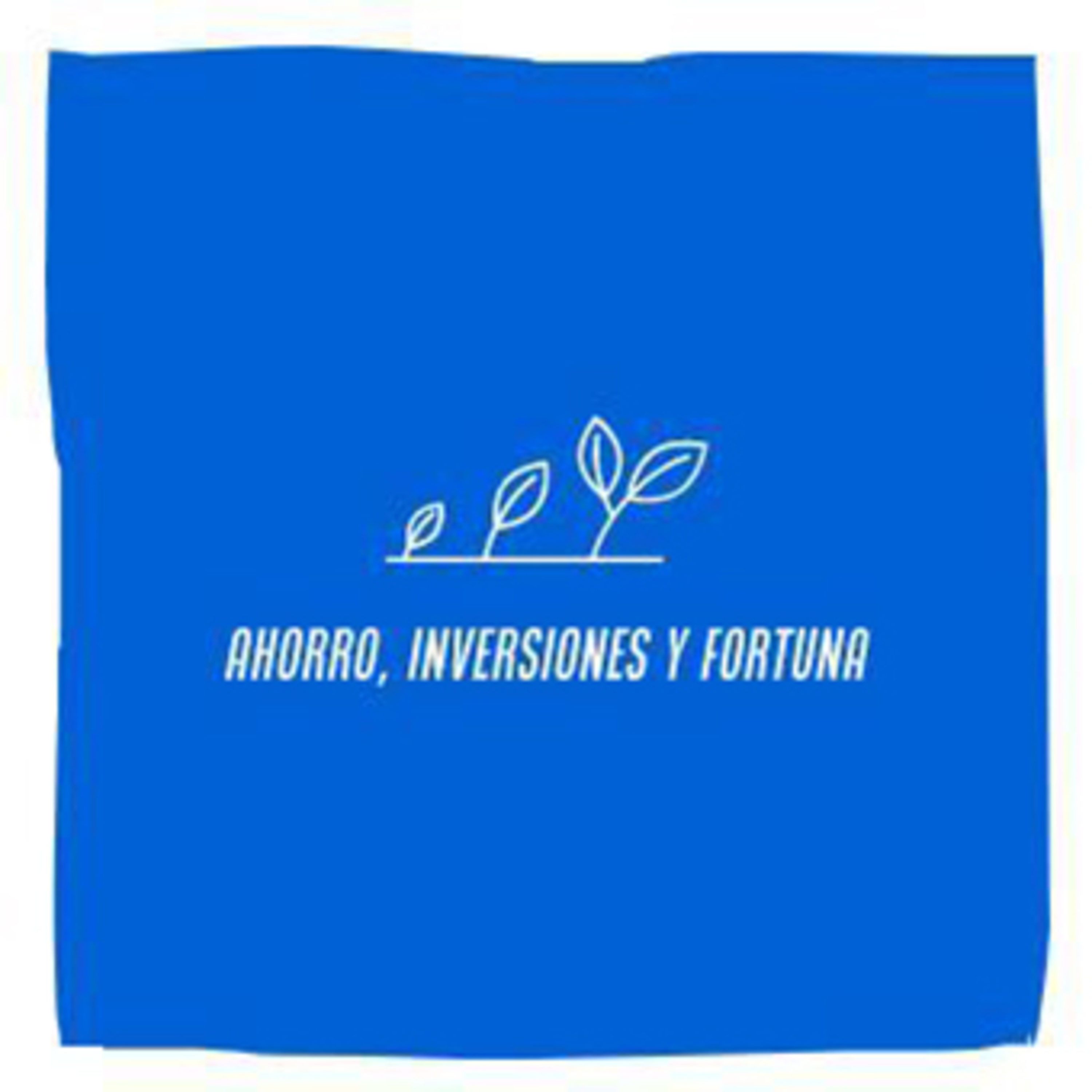 Ahorro, Inversiones y Fortuna