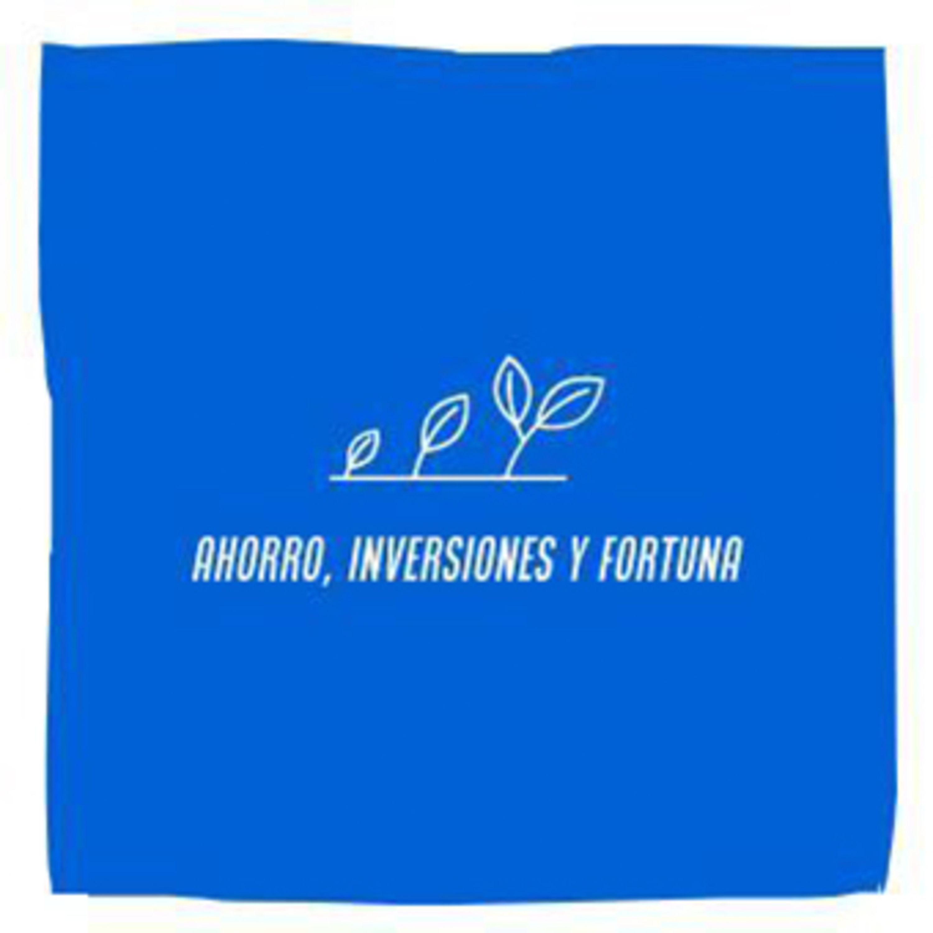 Ahorro, Inversiones y Fortuna