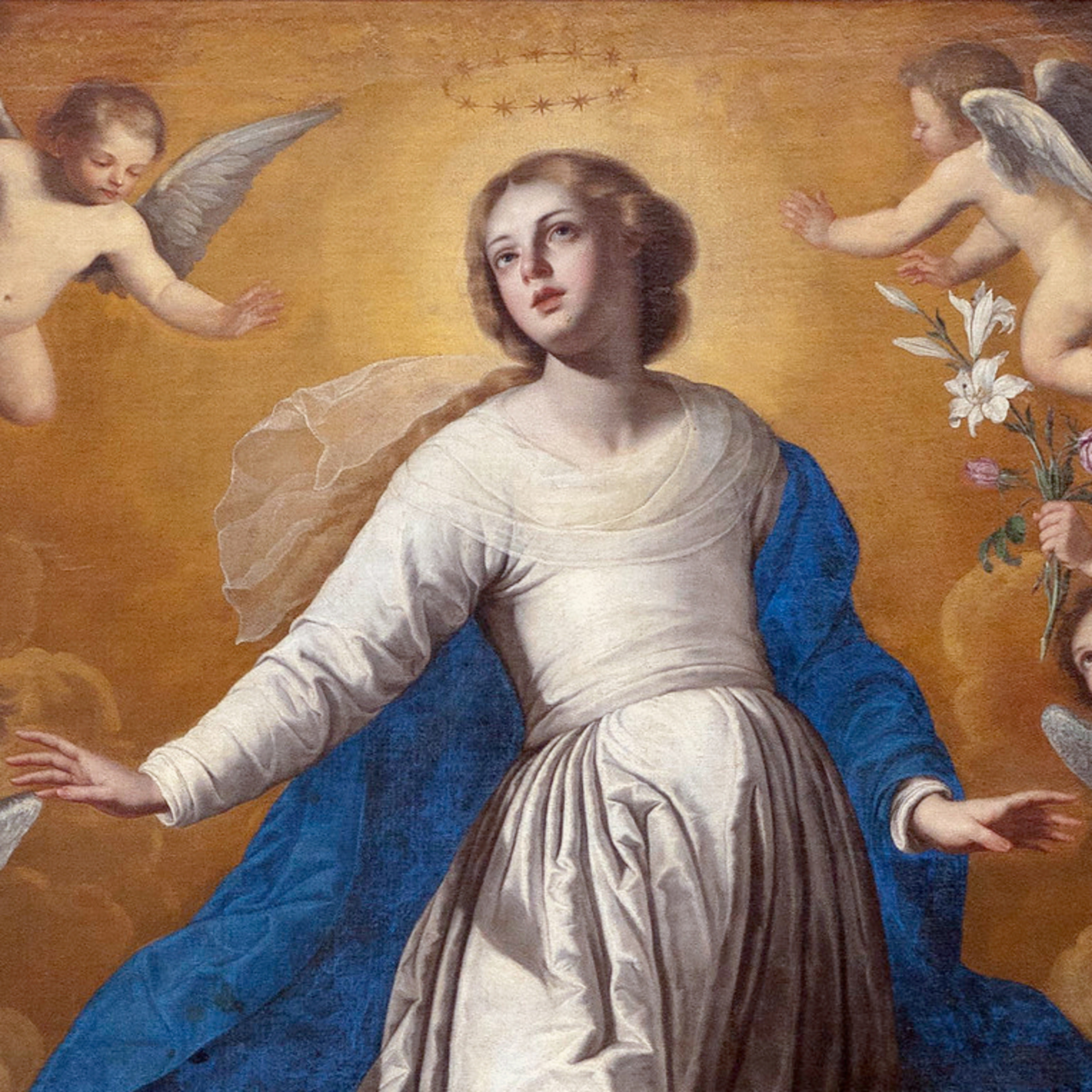 Vox Immaculatae