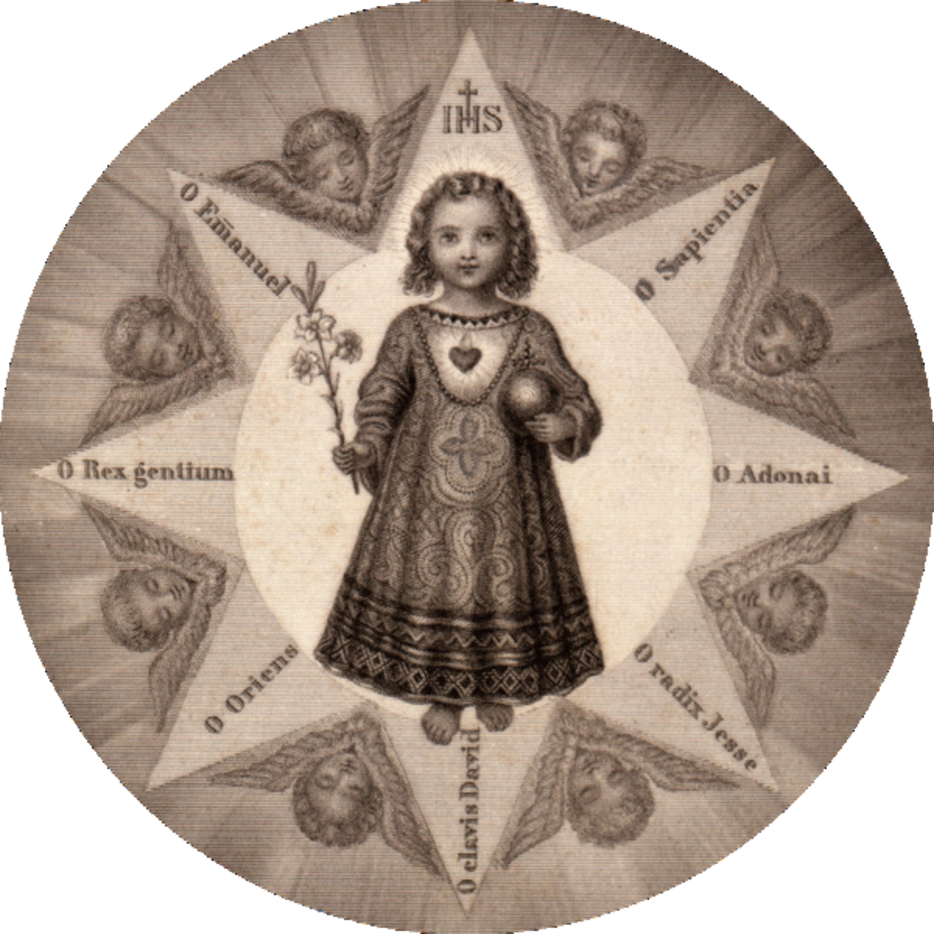 Vox Immaculatae