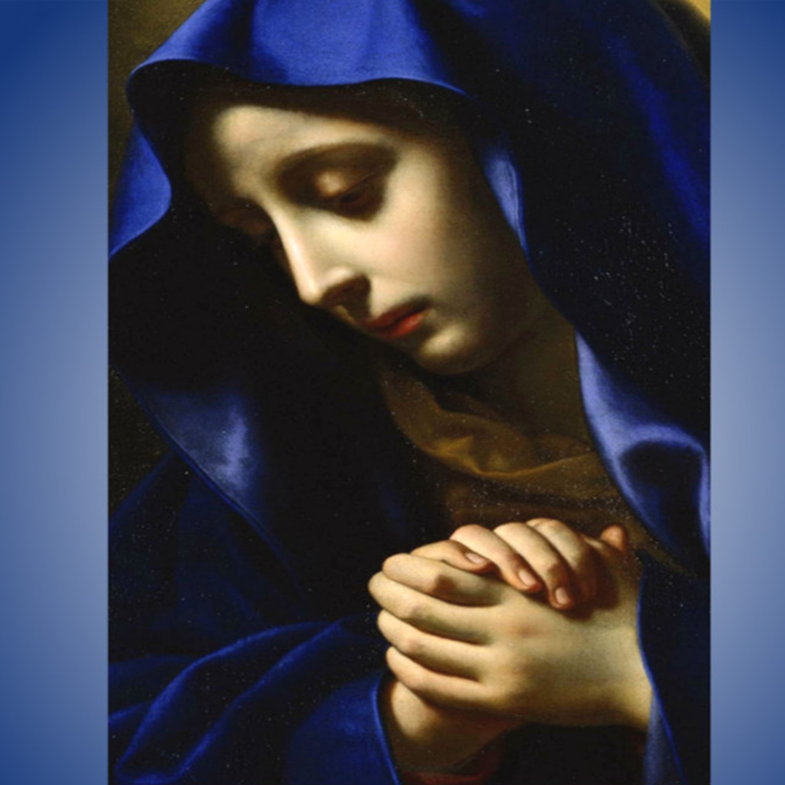 Vox Immaculatae