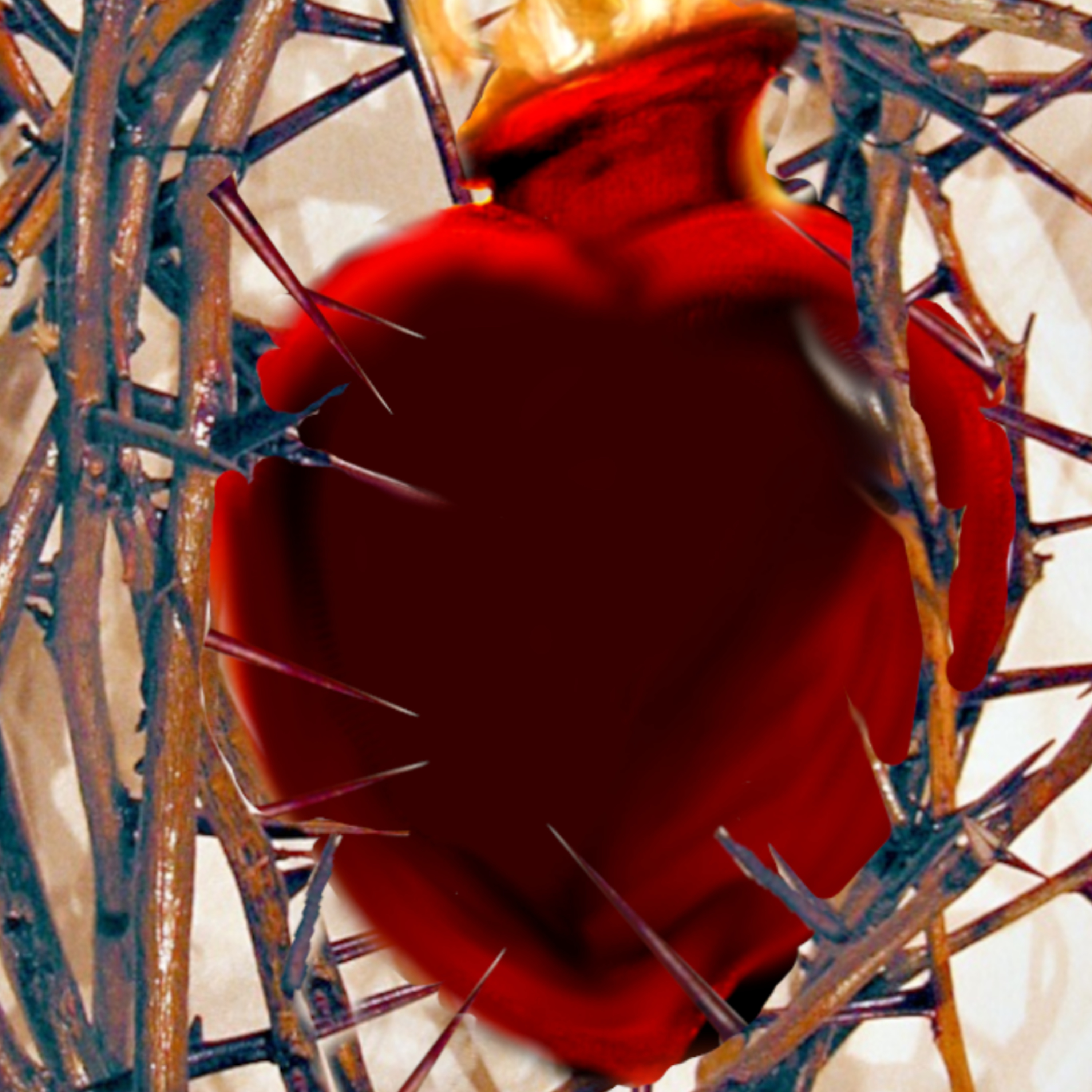 Vox Immaculatae