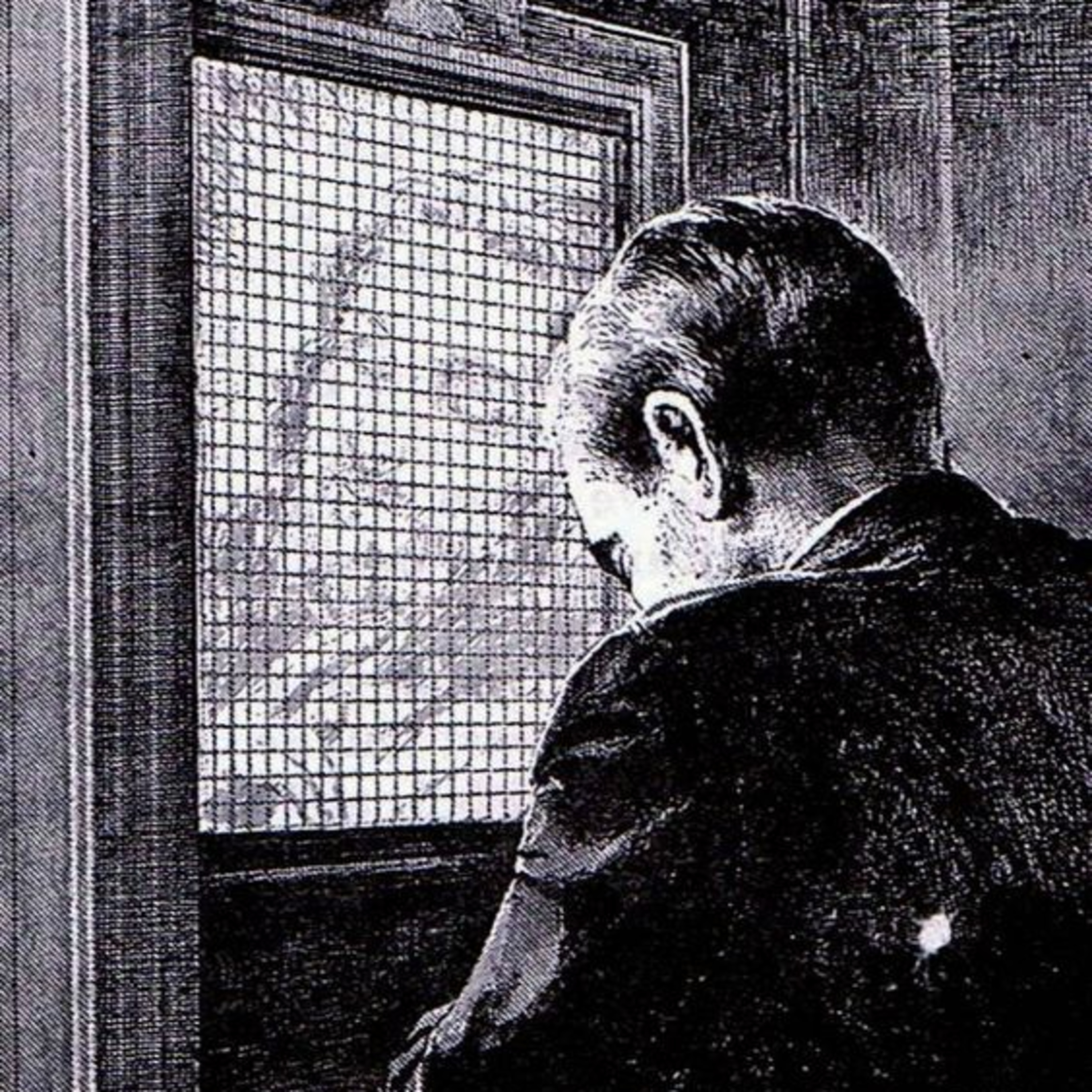 Vox Immaculatae
