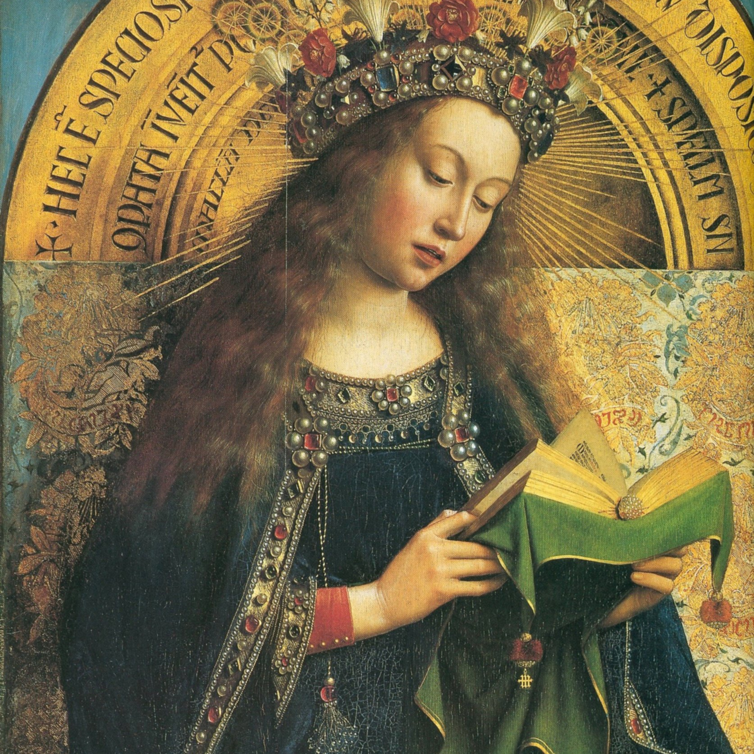 Vox Immaculatae