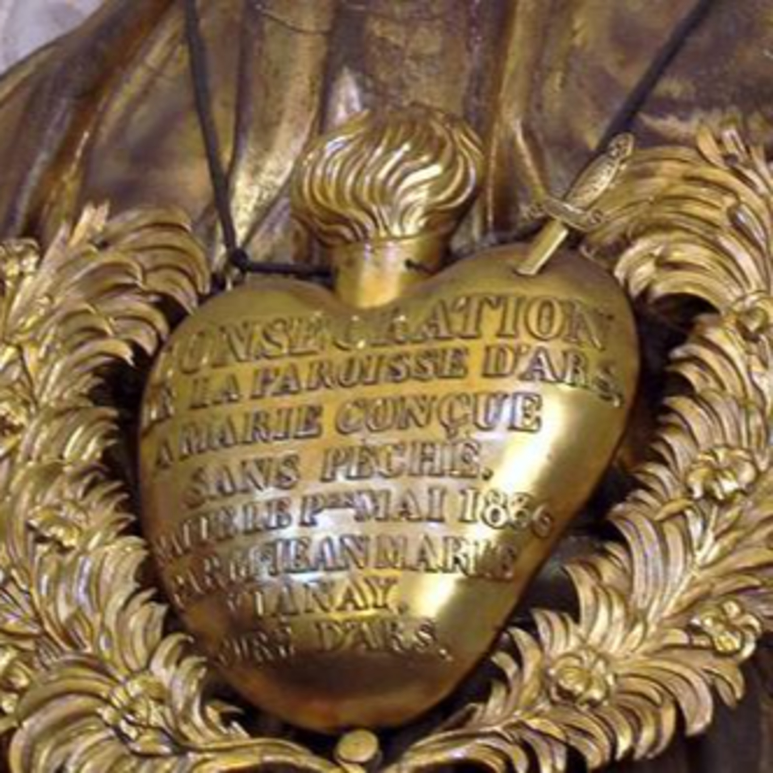 Vox Immaculatae
