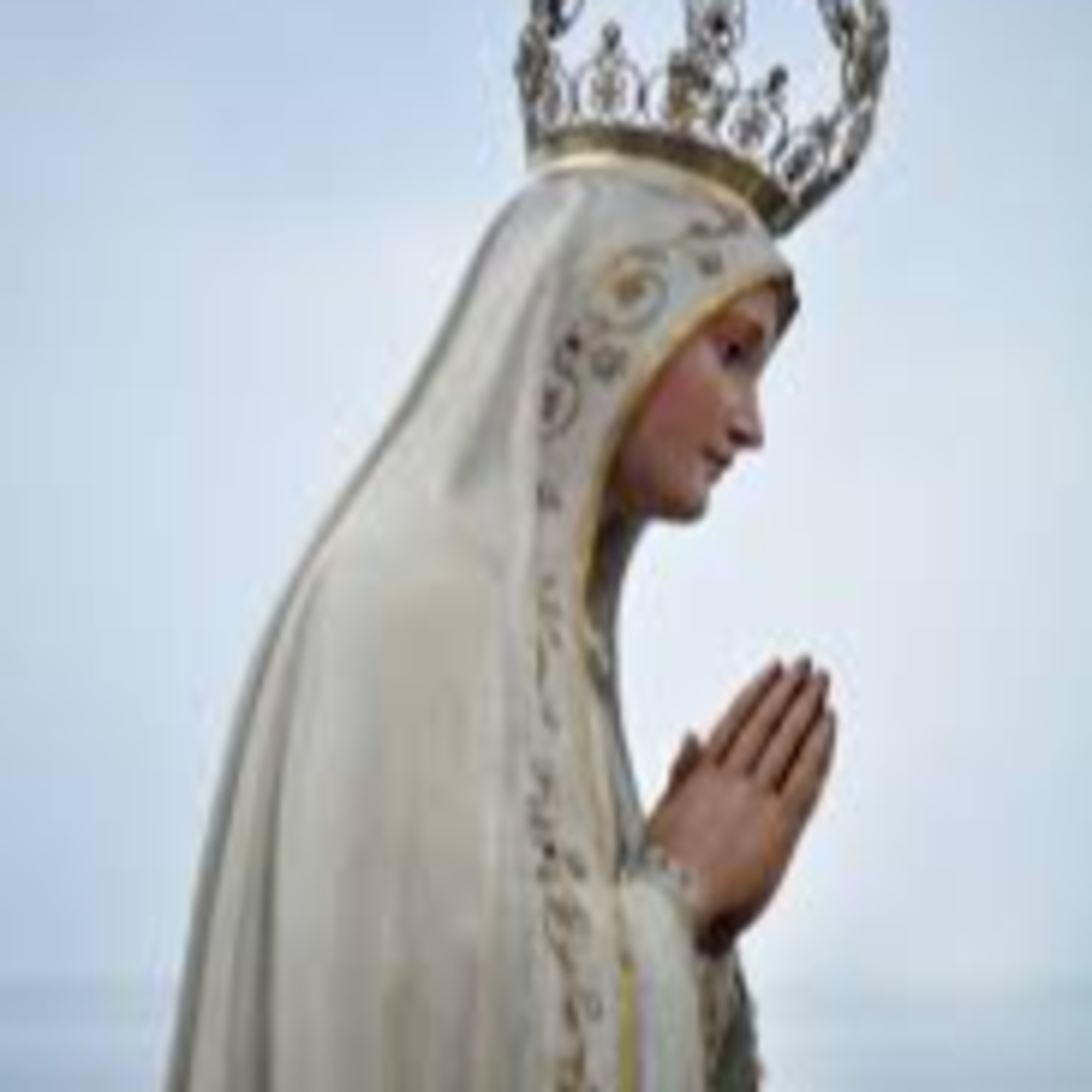 Vox Immaculatae