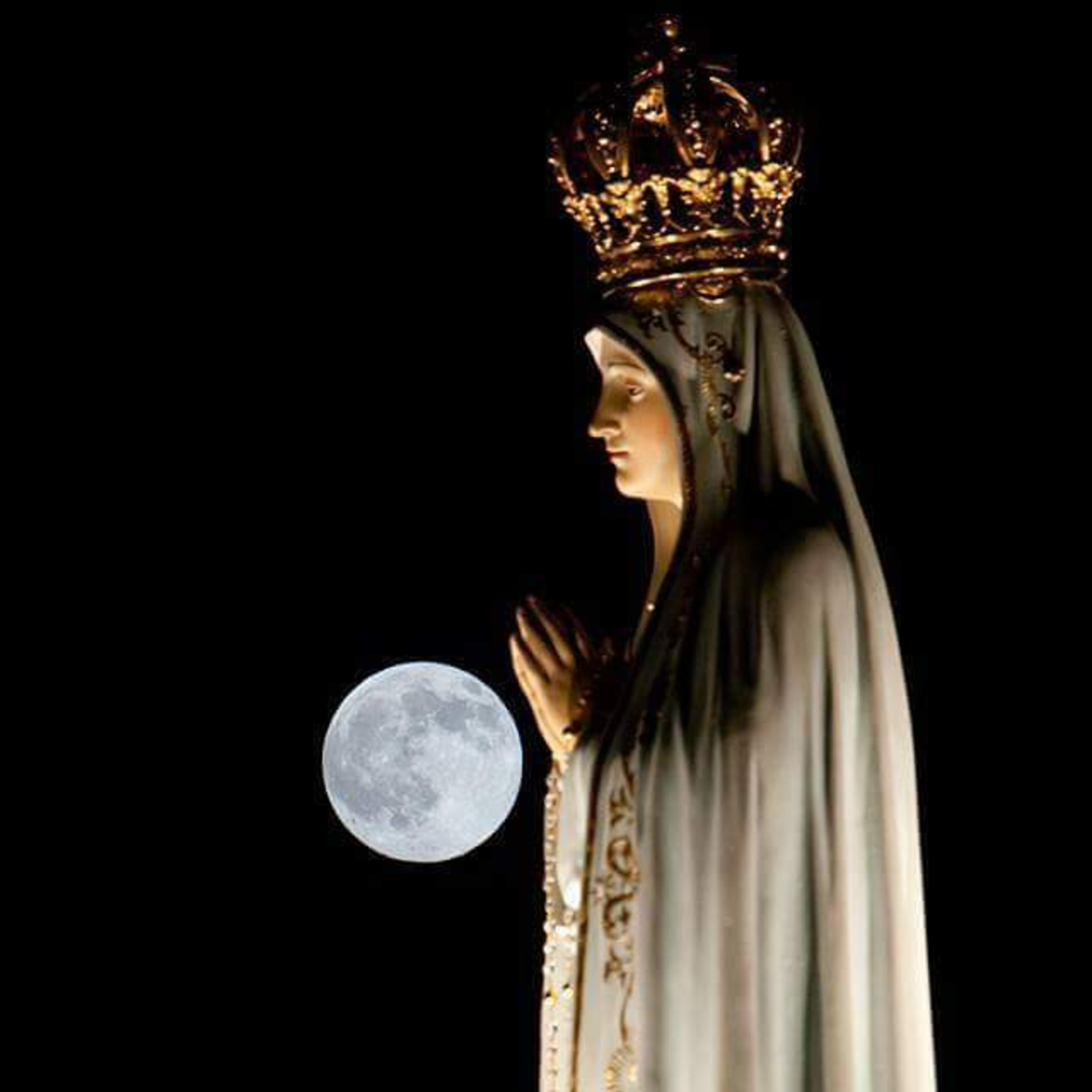 Vox Immaculatae