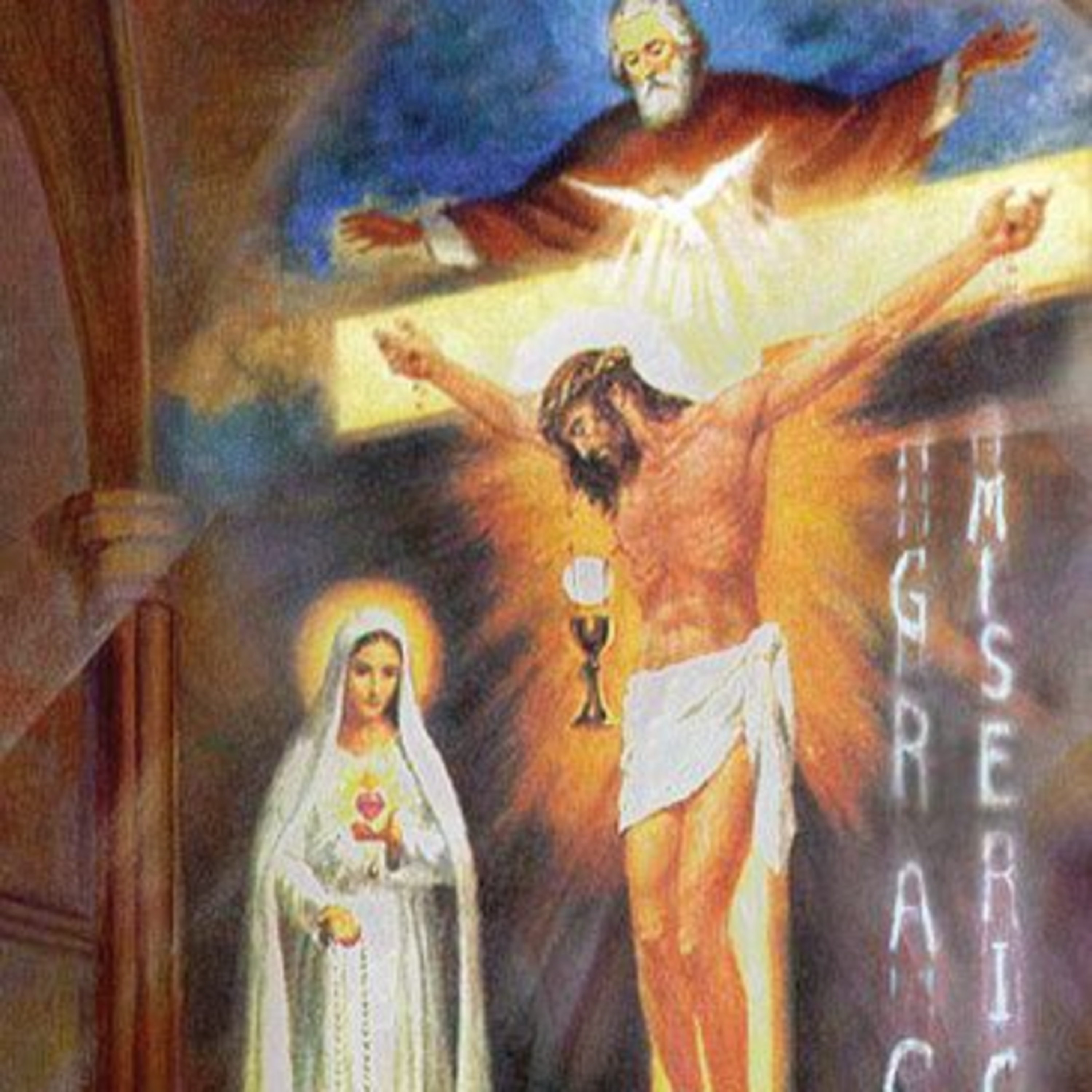 Vox Immaculatae