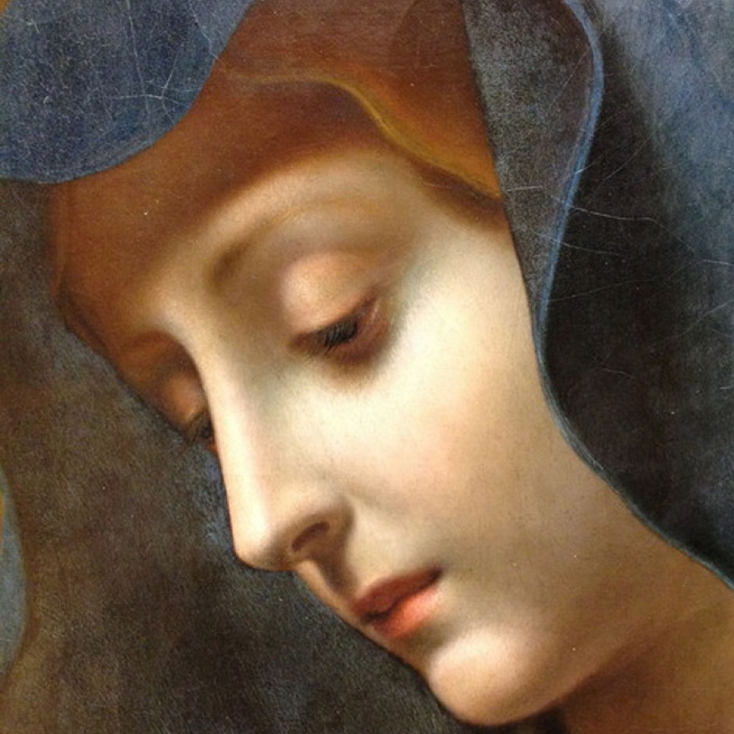Vox Immaculatae