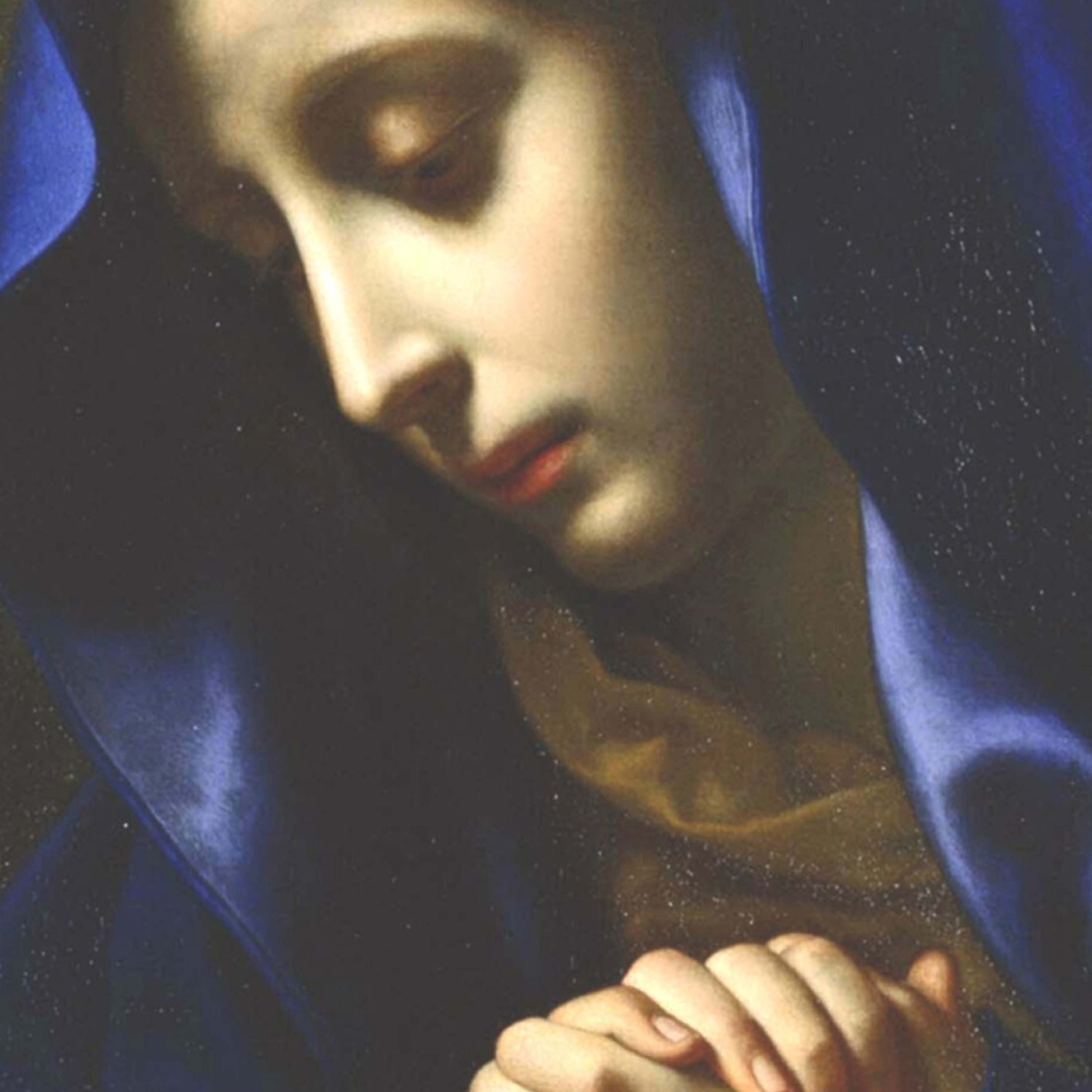Vox Immaculatae