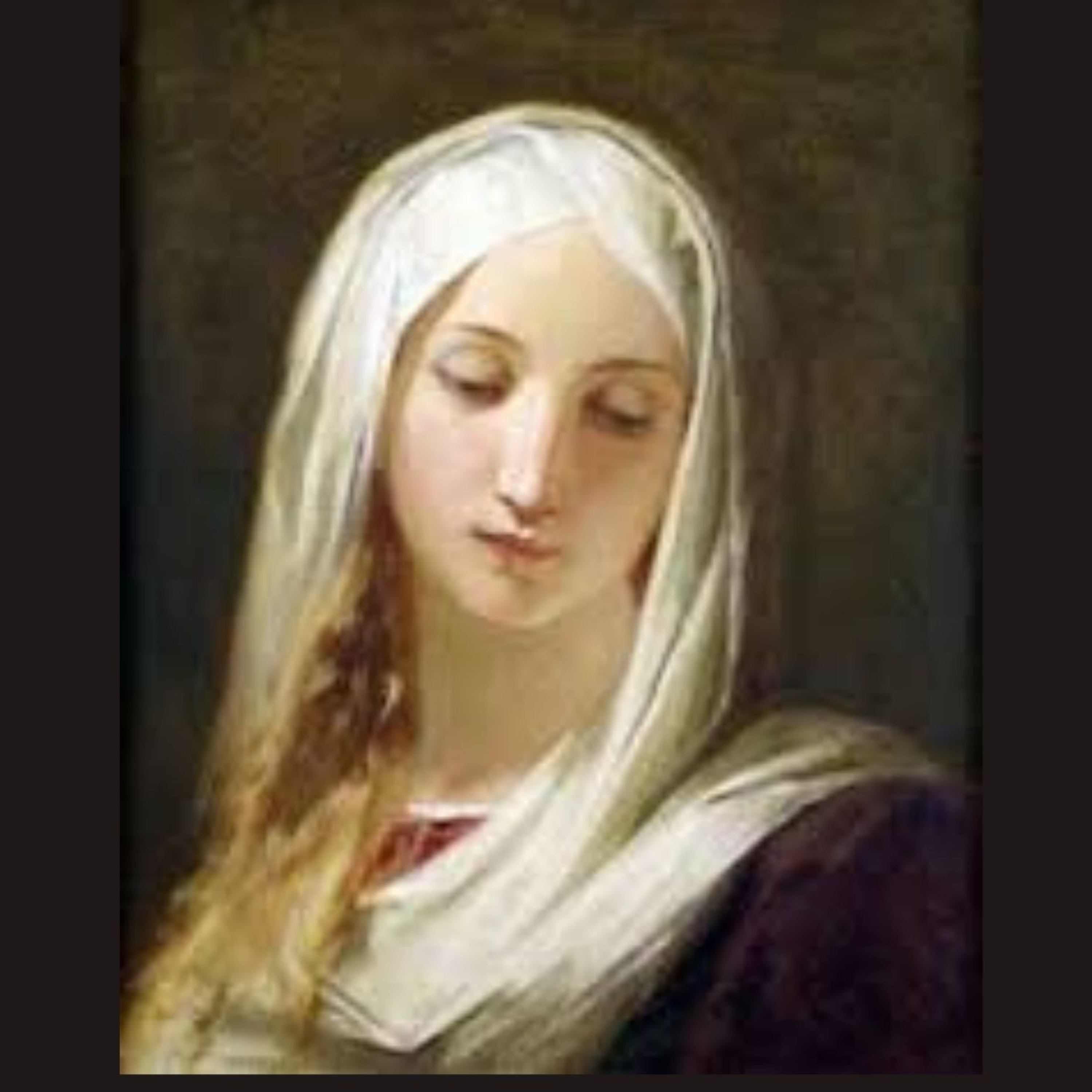 Vox Immaculatae