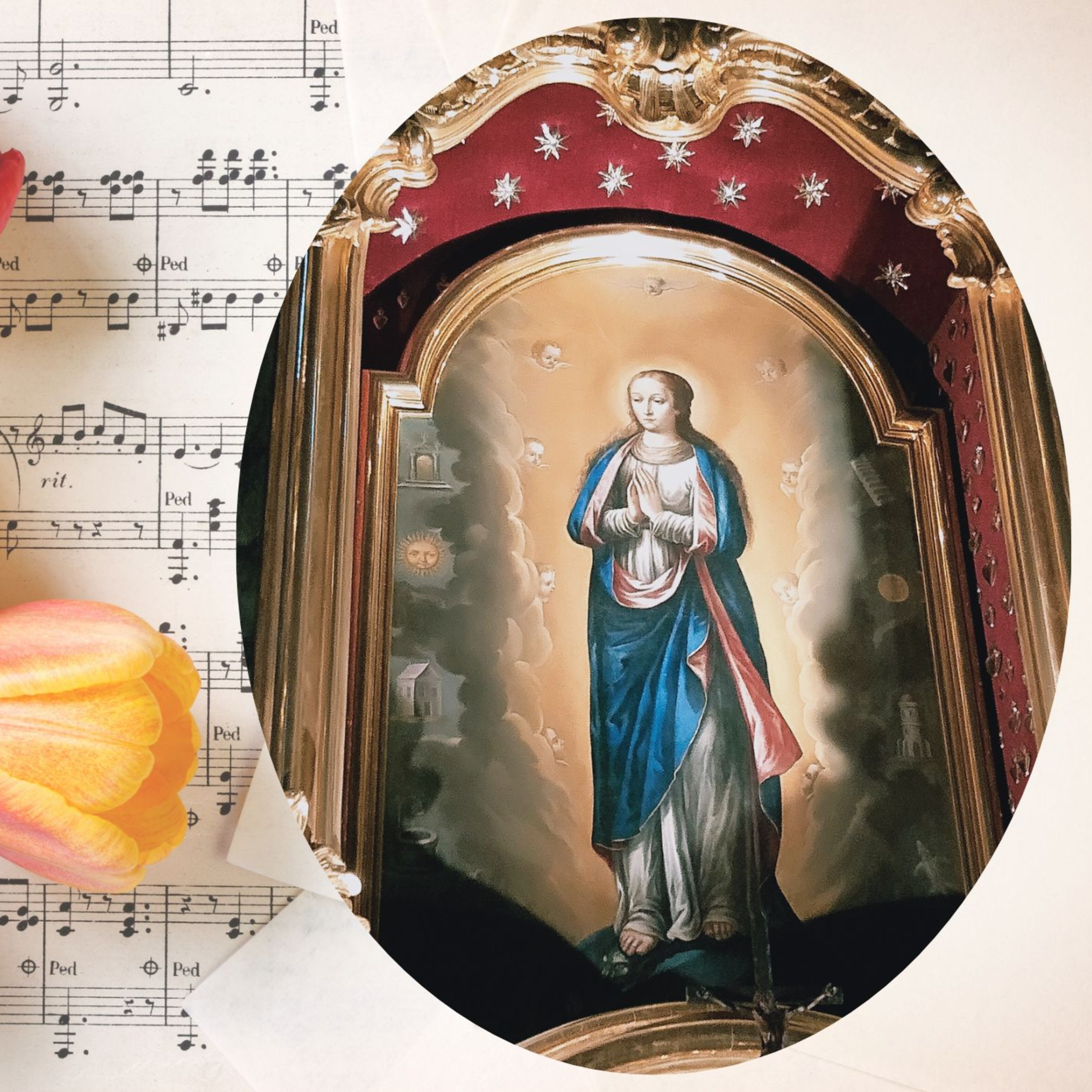 Vox Immaculatae