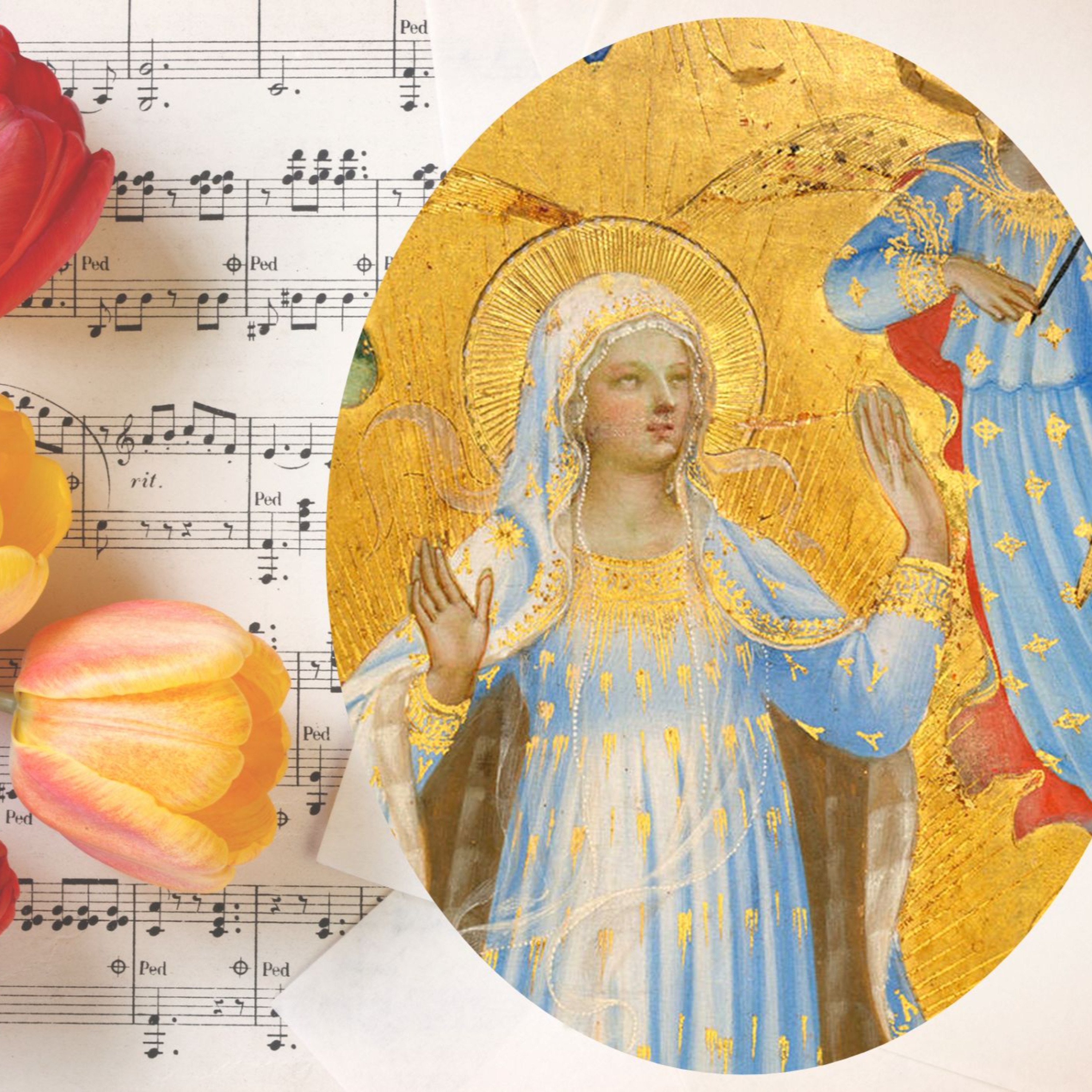 Vox Immaculatae