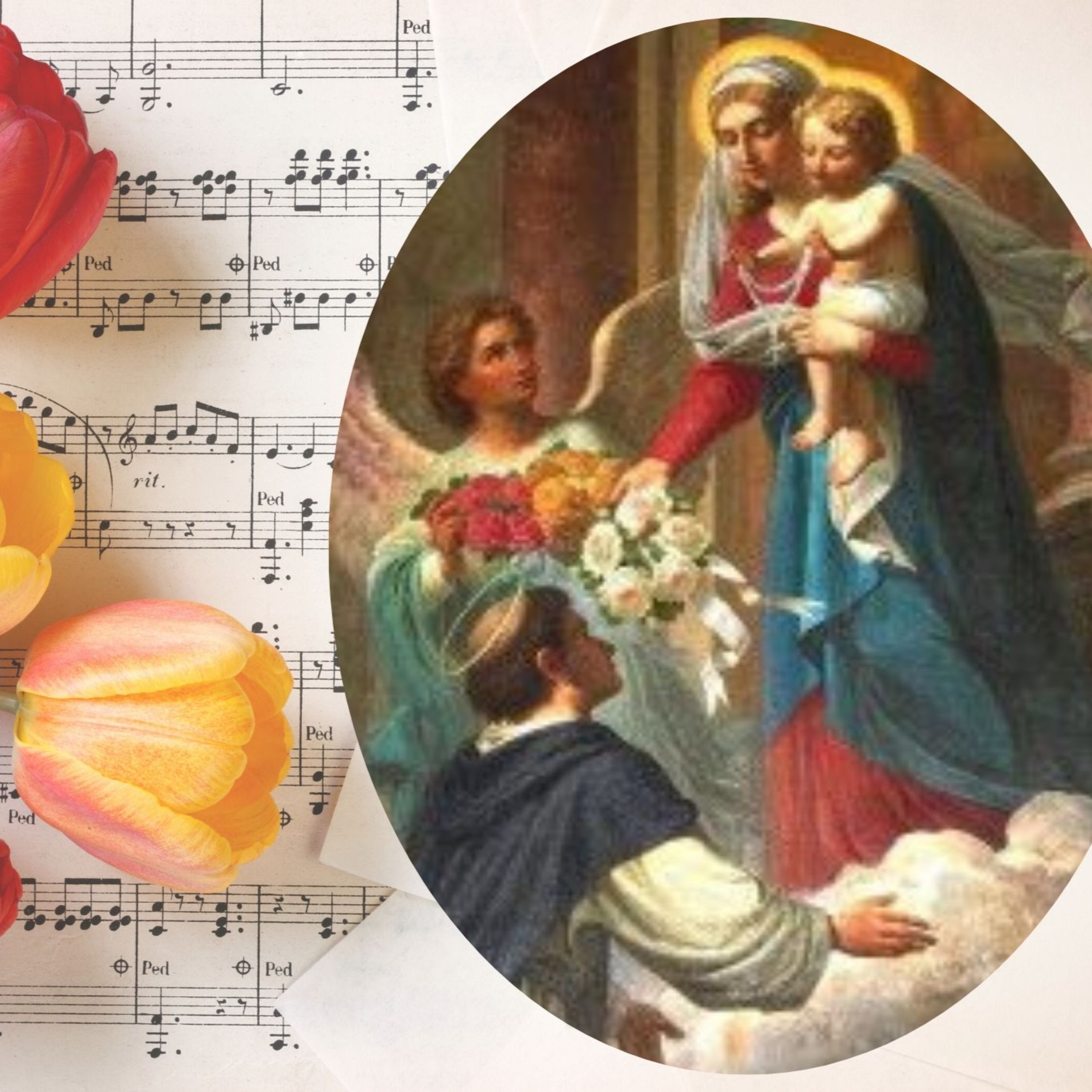 Vox Immaculatae