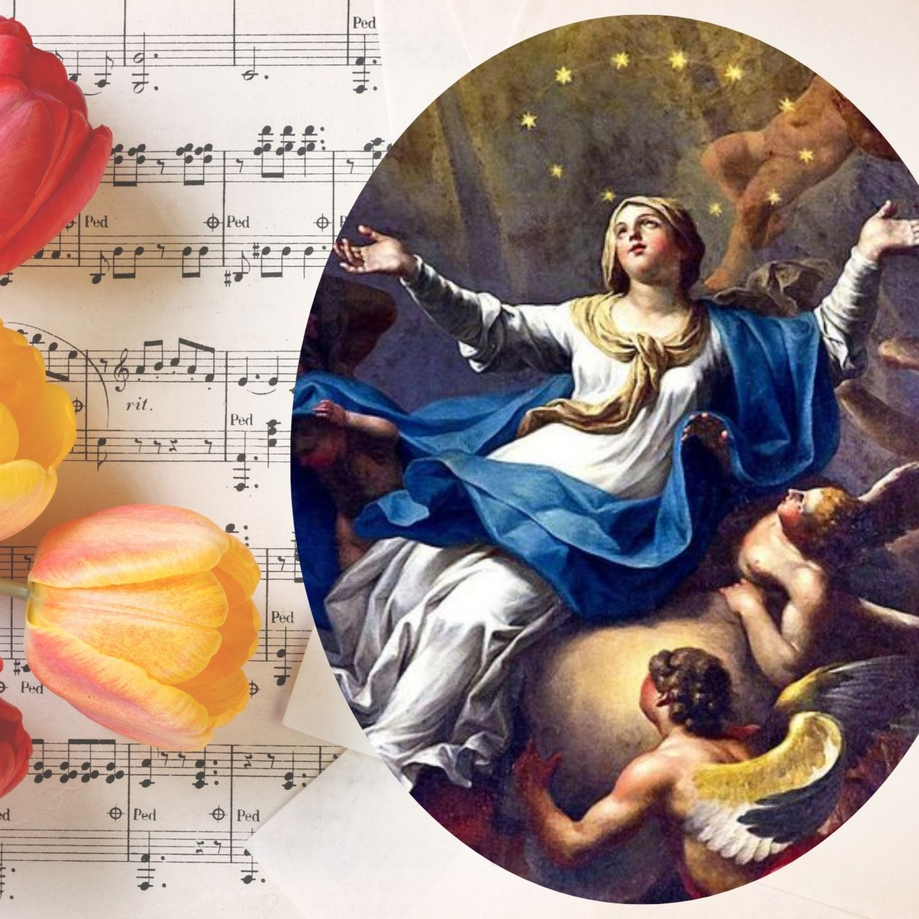 Vox Immaculatae