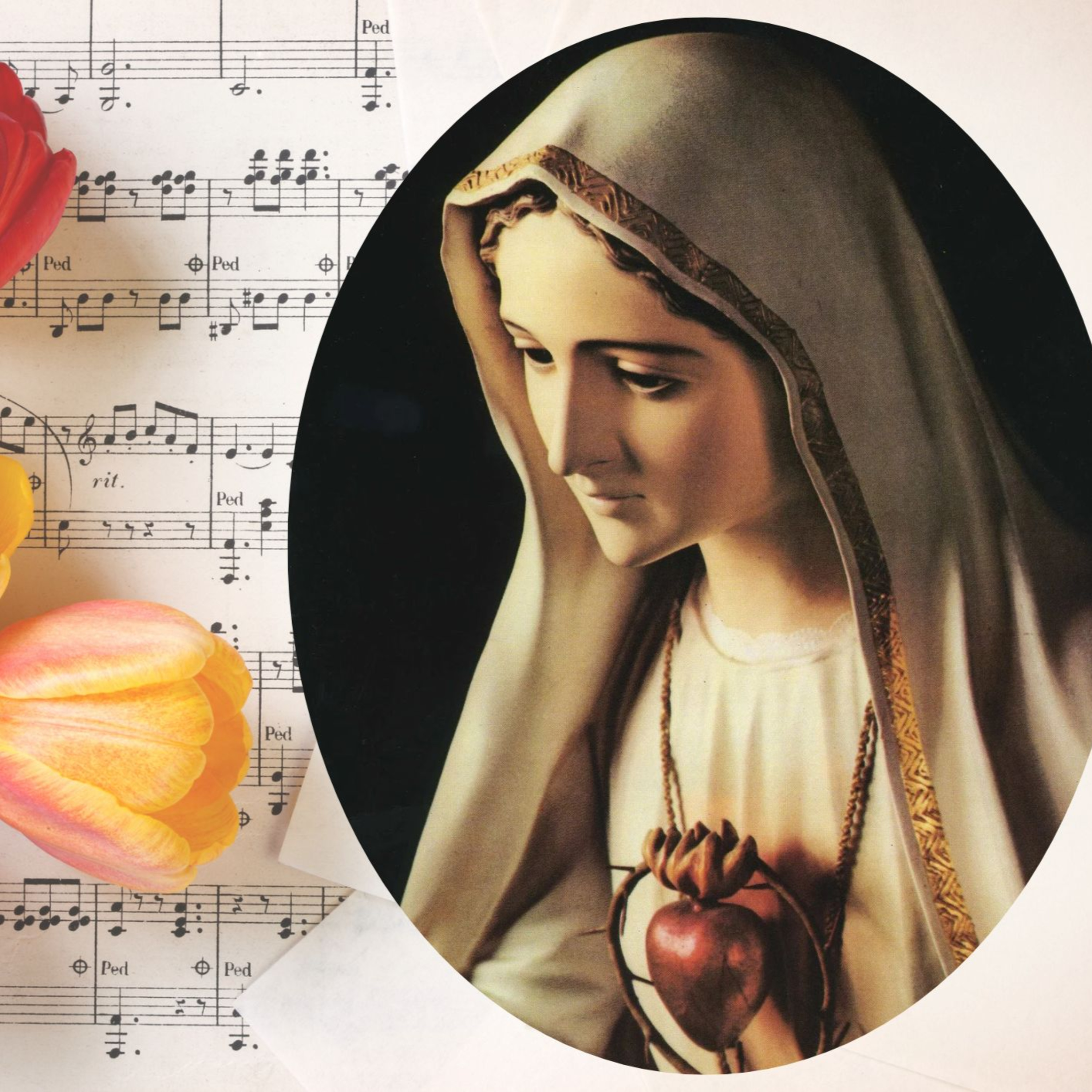 Vox Immaculatae