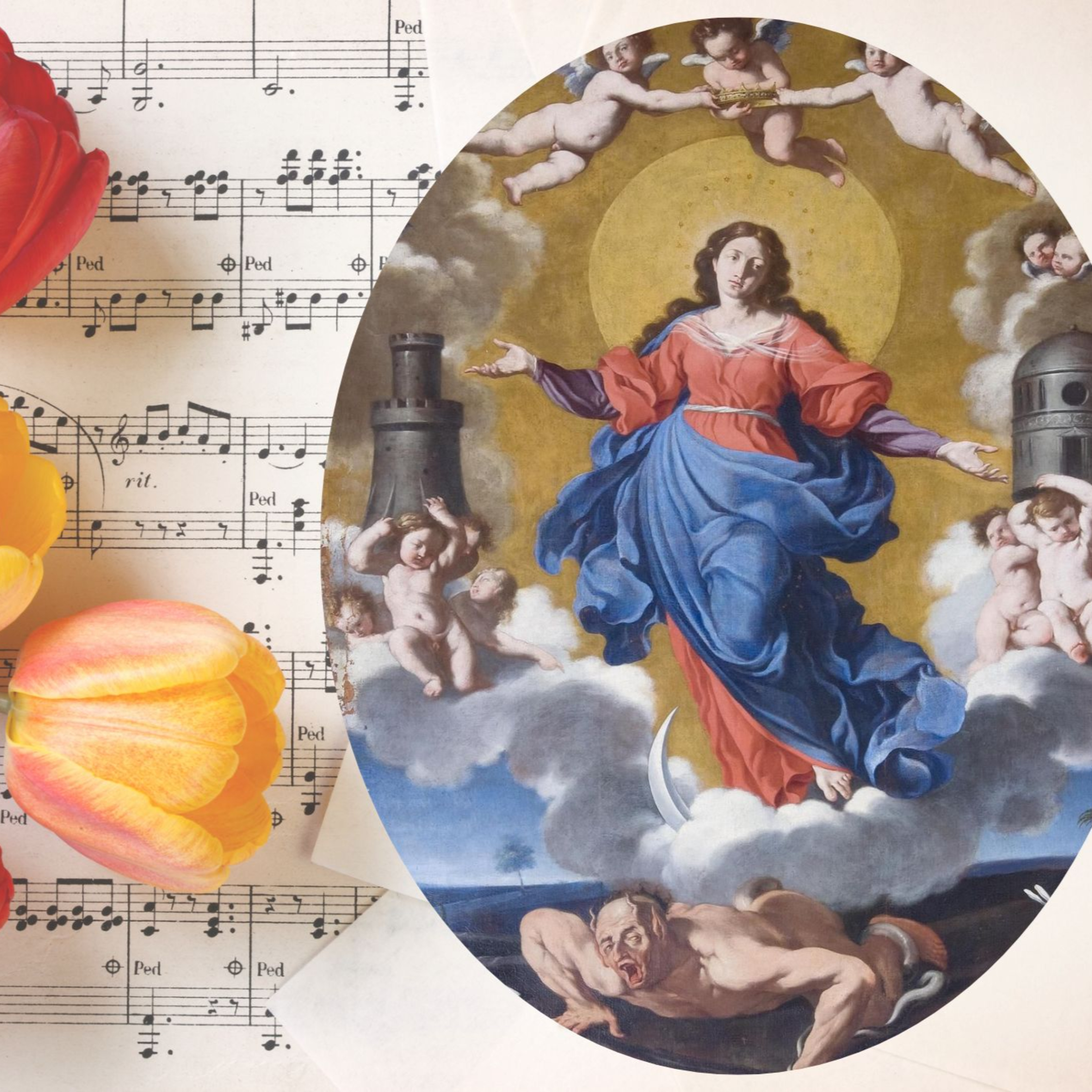 Vox Immaculatae