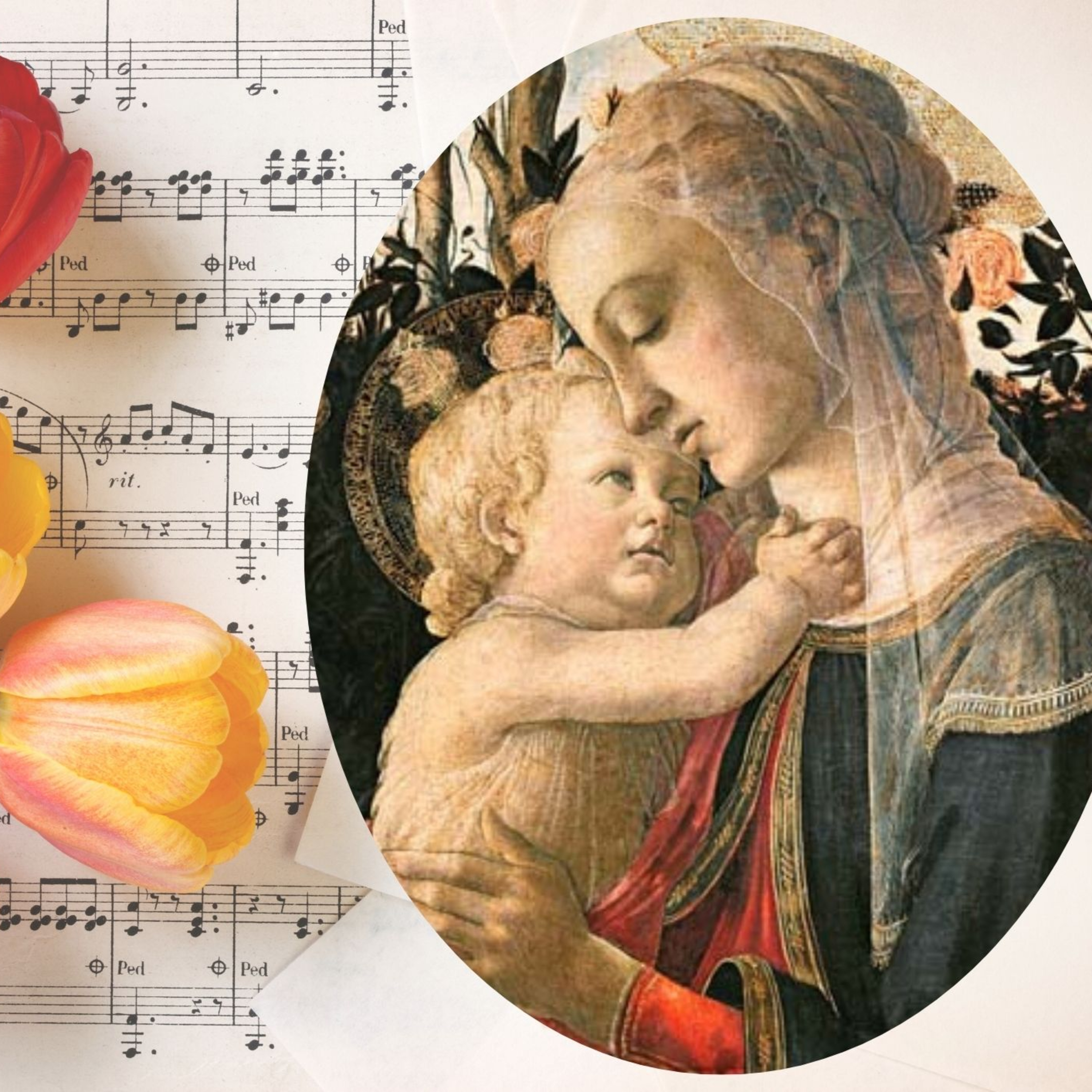Vox Immaculatae