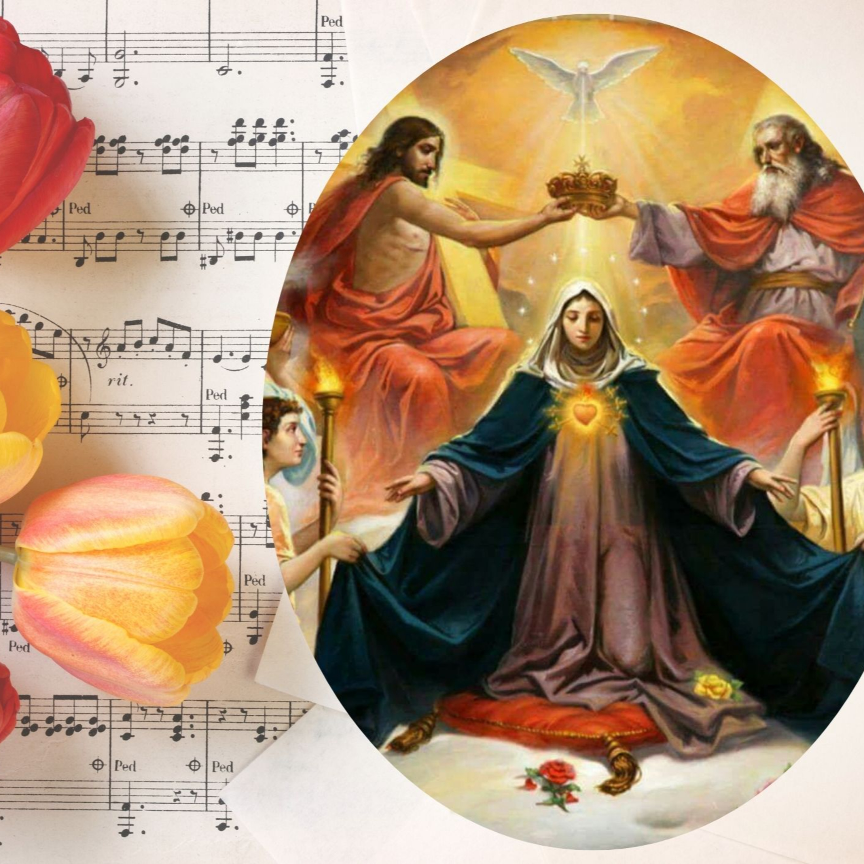 Vox Immaculatae